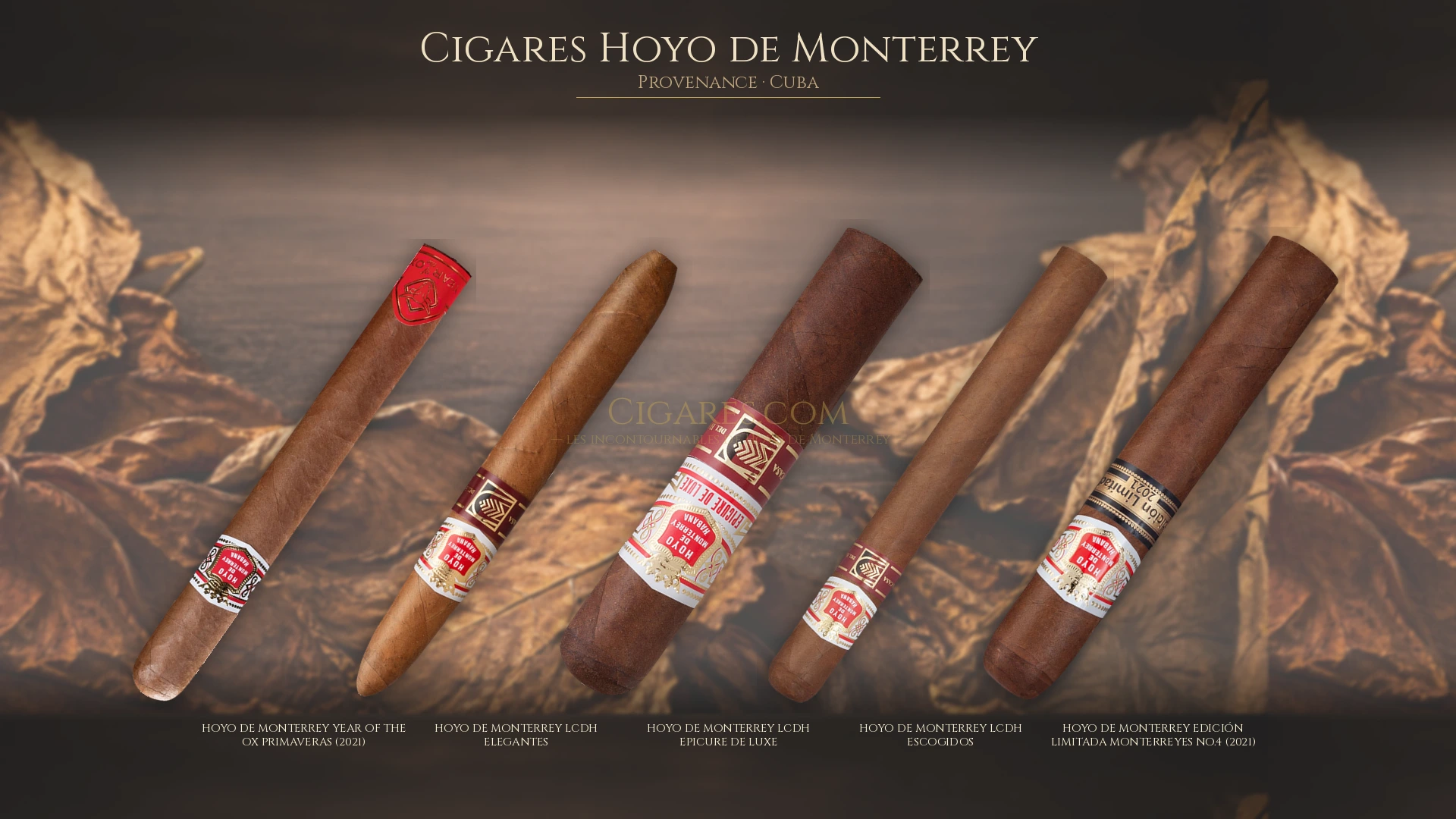 Top 5 cigares Hoyo de Monterrey — les plus populaires