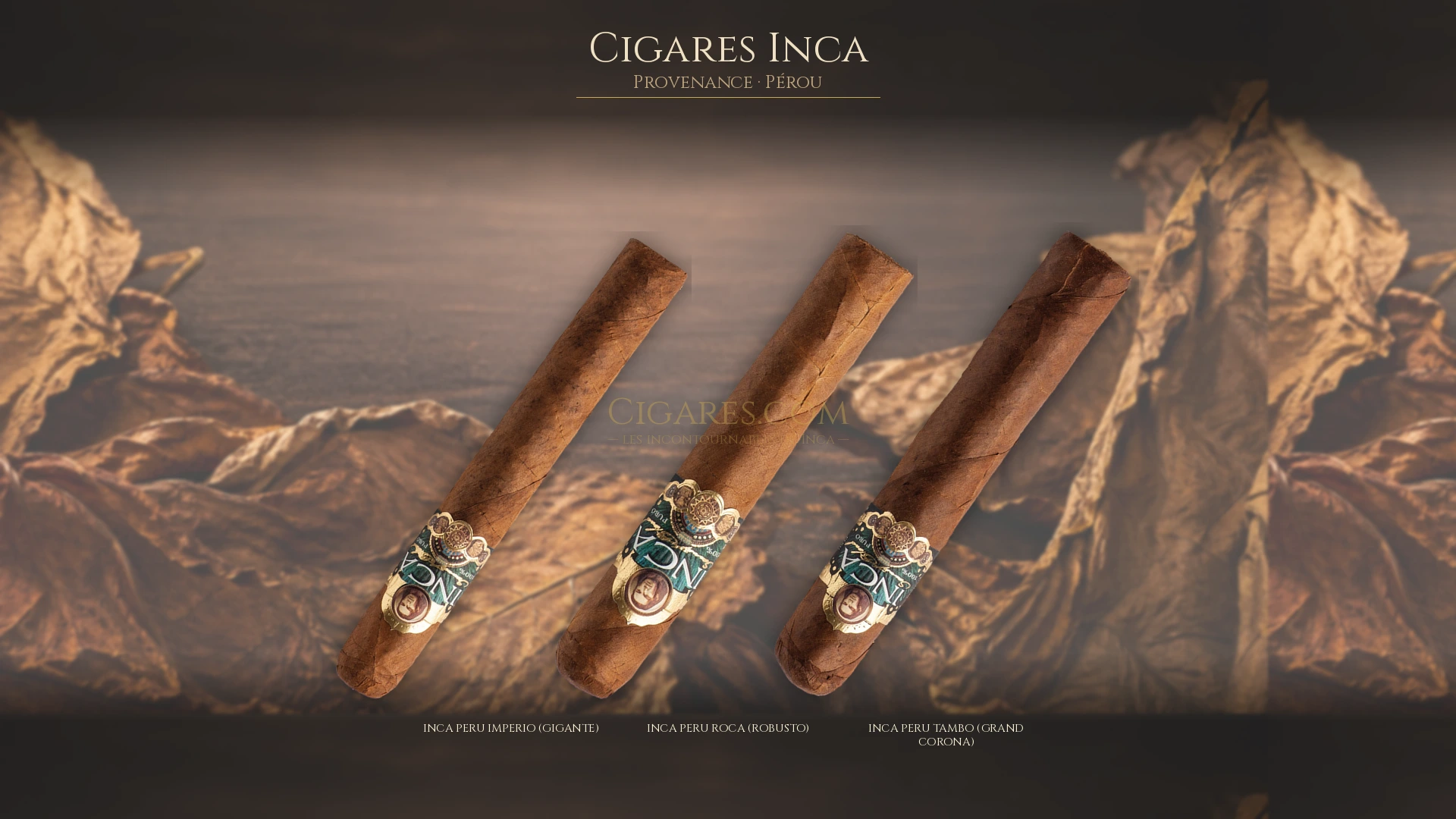 Top 5 cigares Inca — les plus populaires