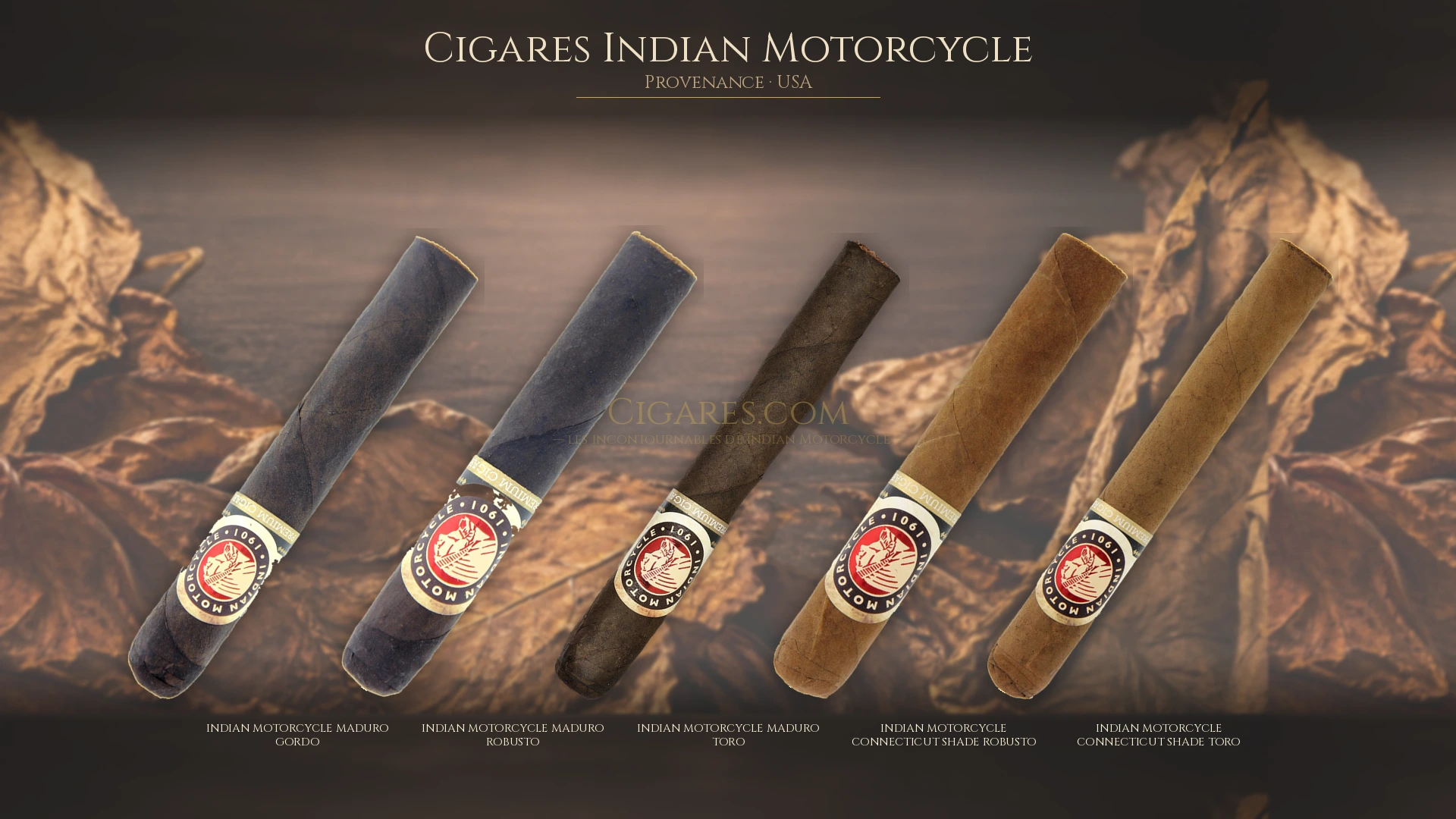Top 5 cigares Indian Motorcycle — les plus populaires
