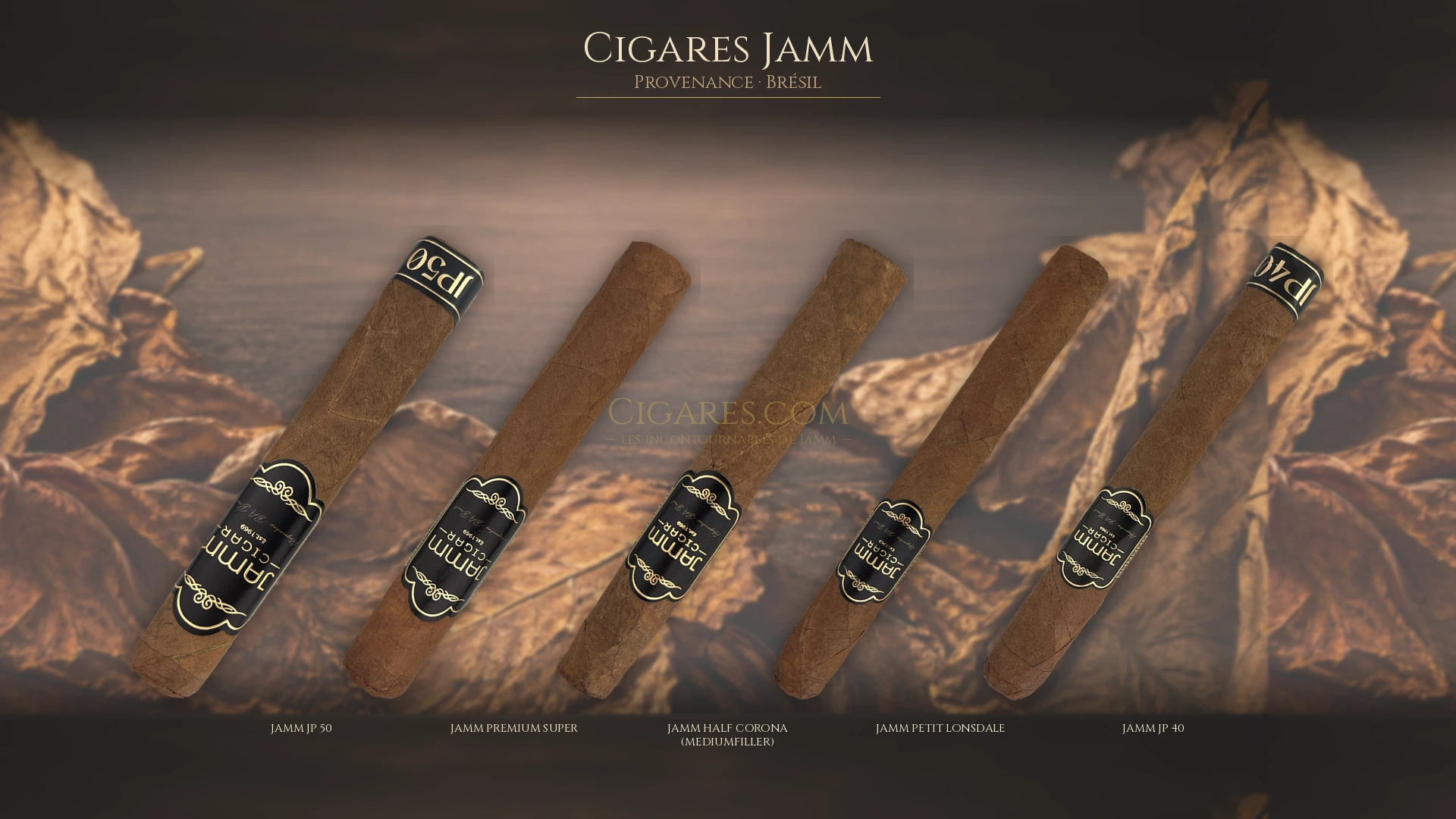 Top 5 cigares Jamm — les plus populaires