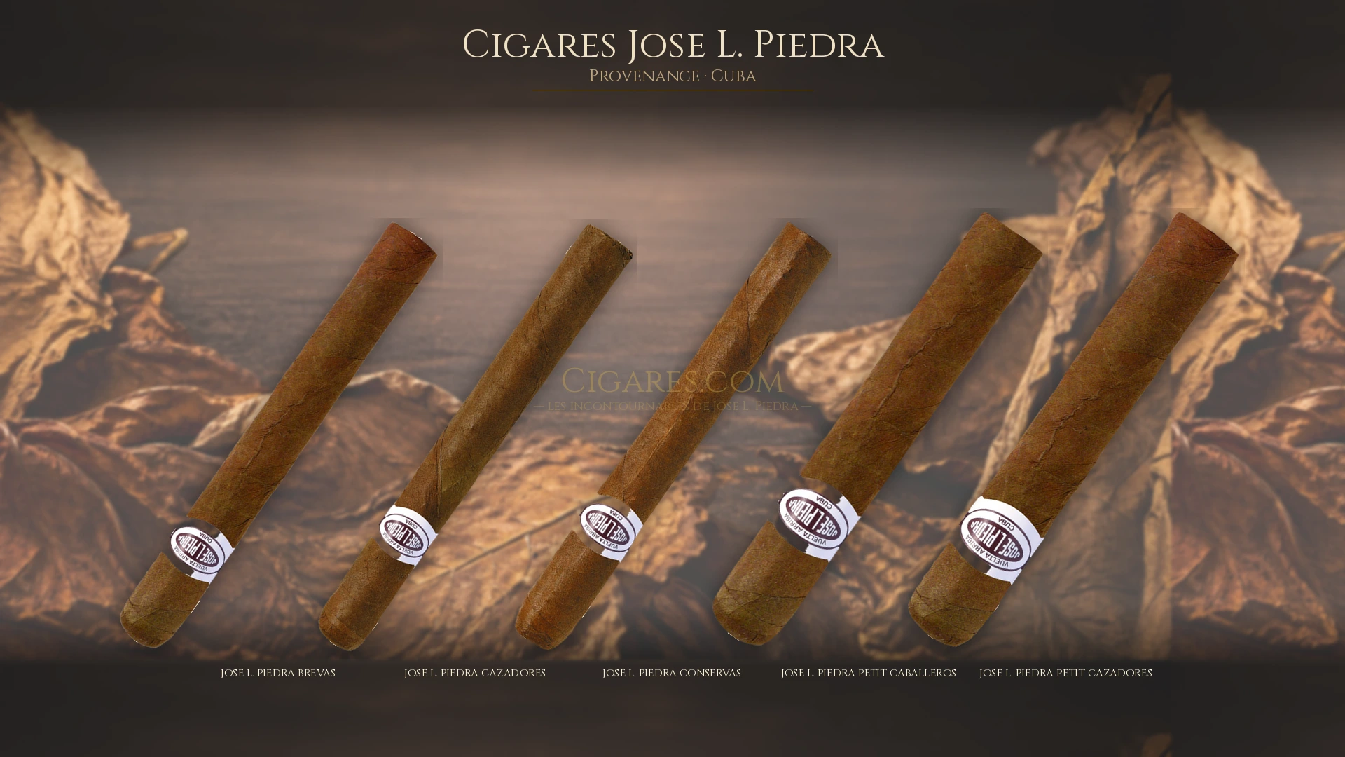 Top 5 cigares Jose L. Piedra — les plus populaires