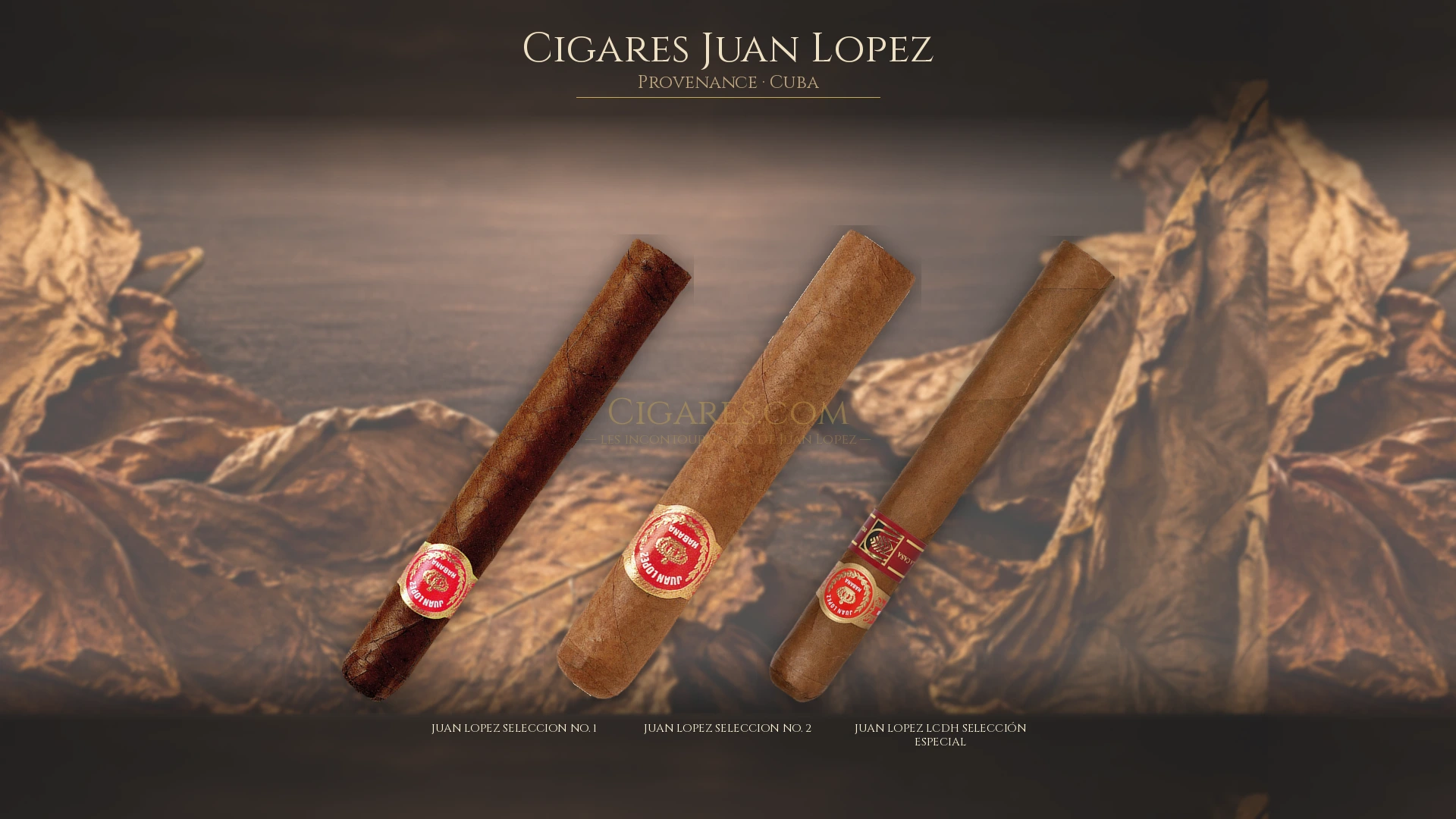 Top 5 cigares Juan Lopez — les plus populaires