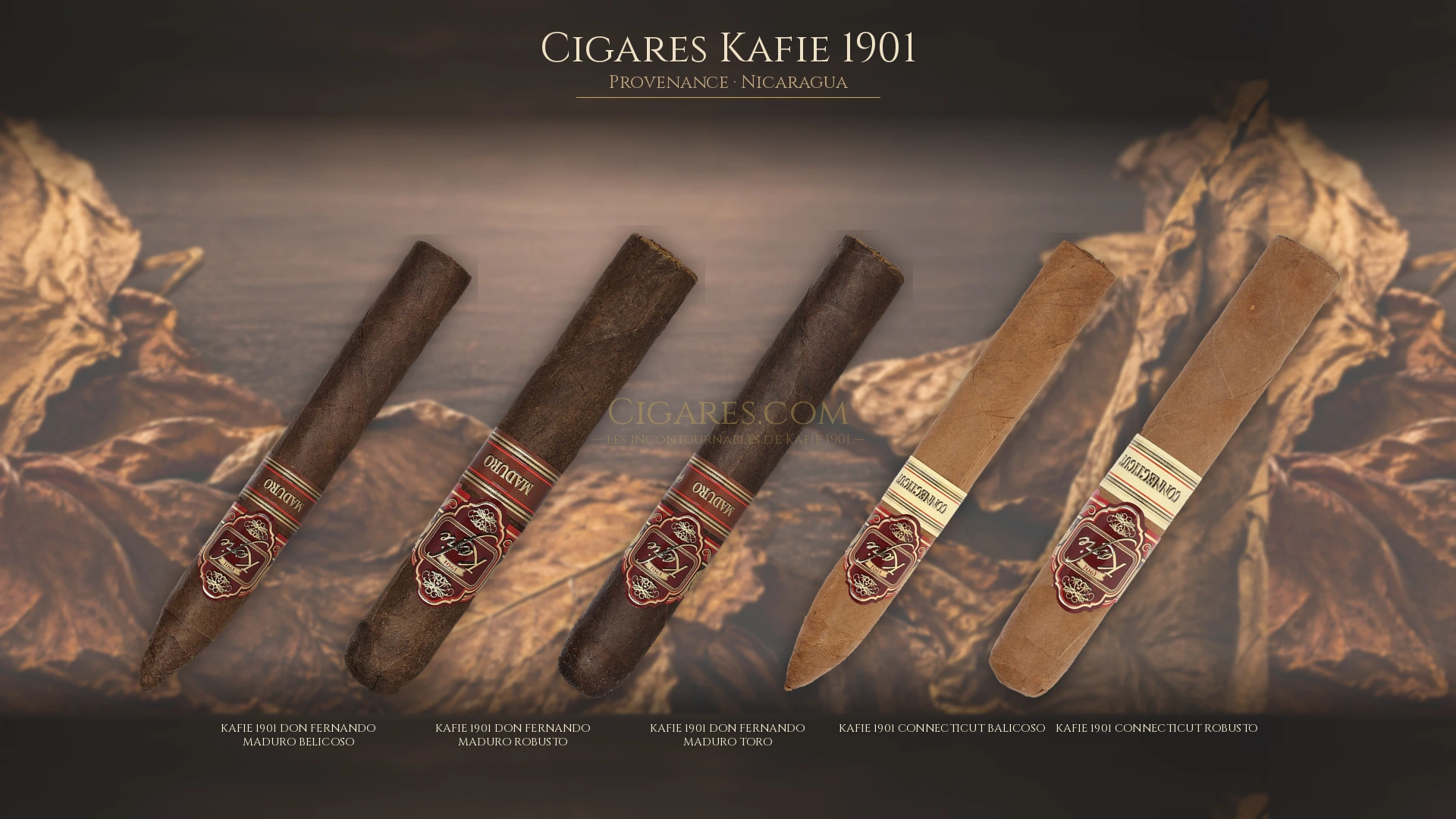 Top 5 cigares Kafie 1901 — les plus populaires