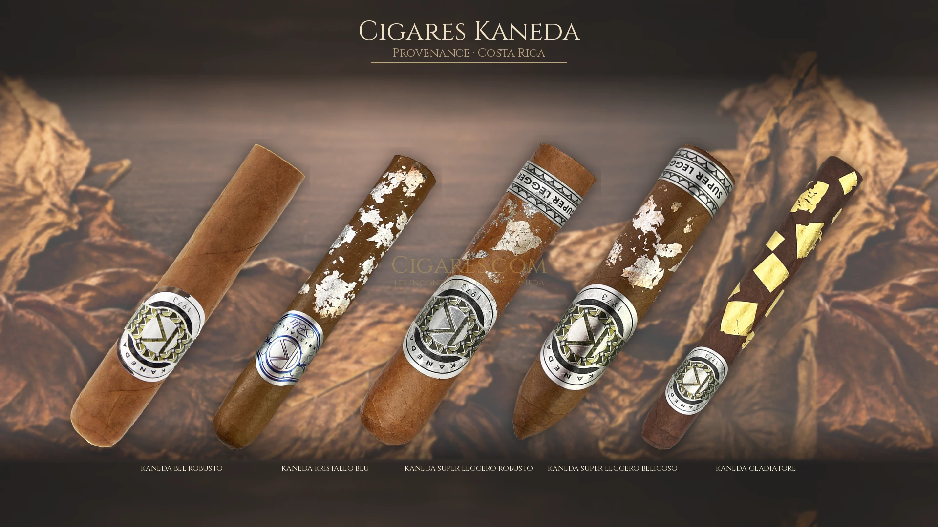 Top 5 cigares Kaneda — les plus populaires