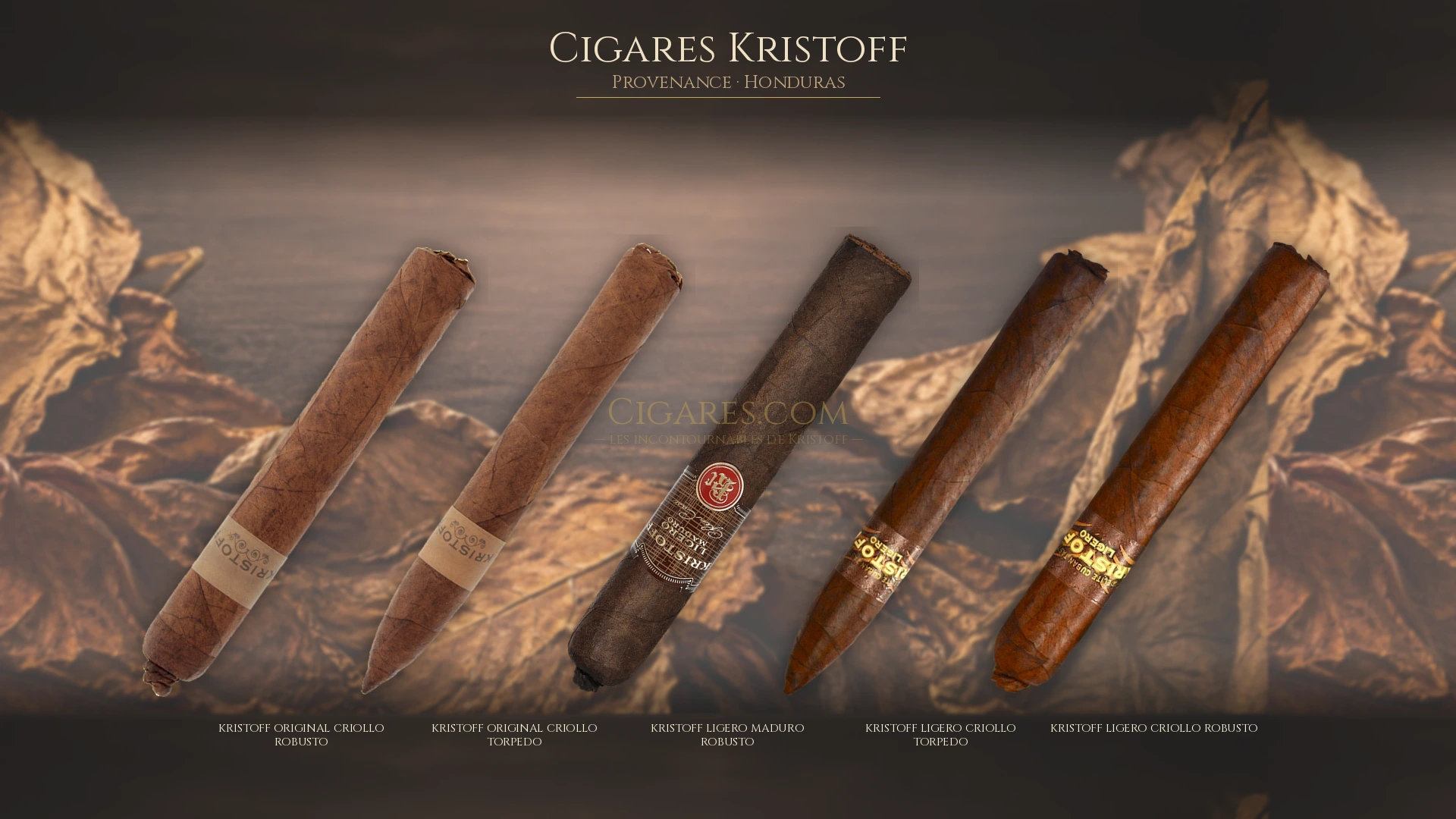 Top 5 cigares Kristoff — les plus populaires