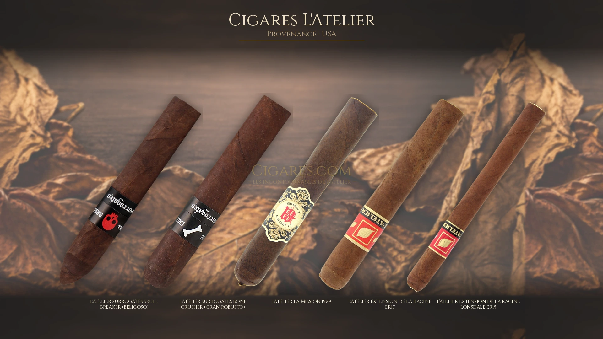 Top 5 cigares L'Atelier — les plus populaires