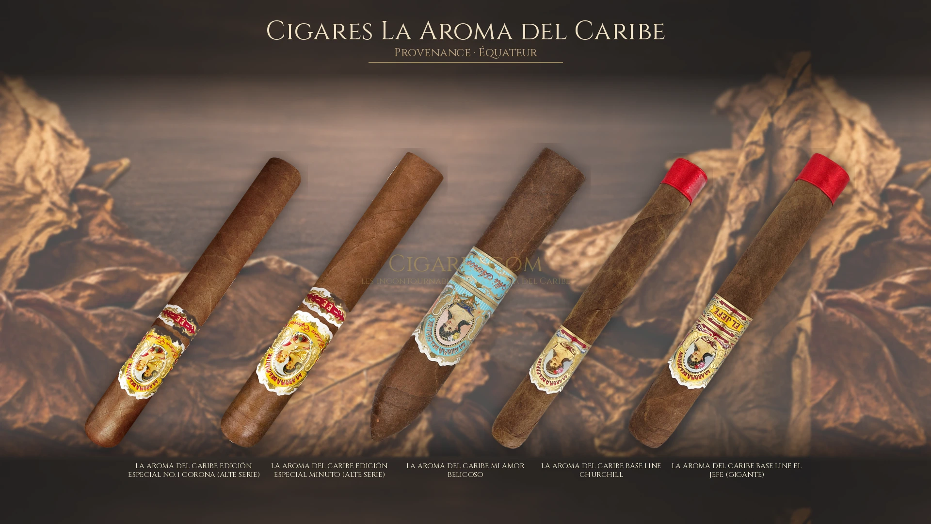 Top 5 cigares La Aroma del Caribe — les plus populaires