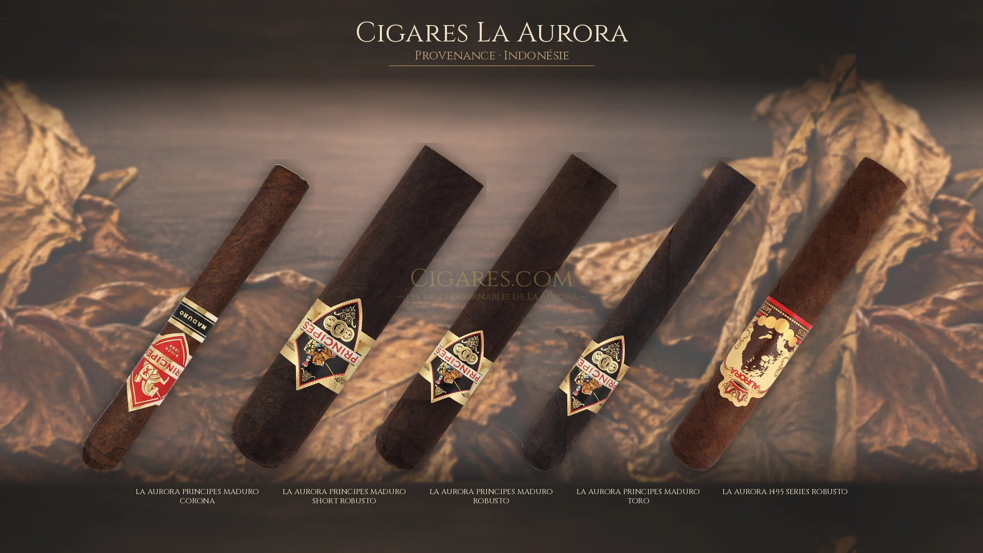 Top 5 cigares La Aurora — les plus populaires