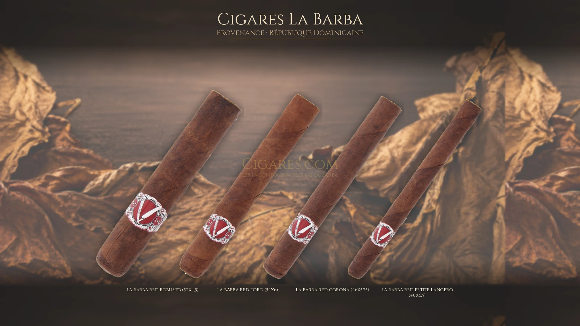Top 5 cigares La Barba — les plus populaires