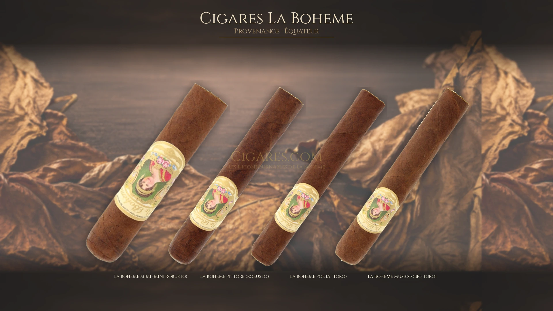 Top 5 cigares La Boheme — les plus populaires