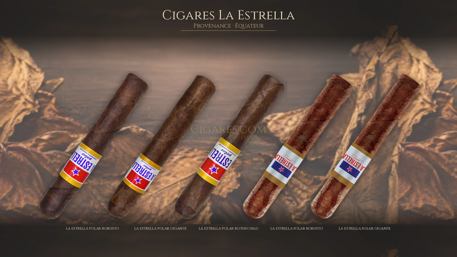 Top 5 cigares La Estrella — les plus populaires
