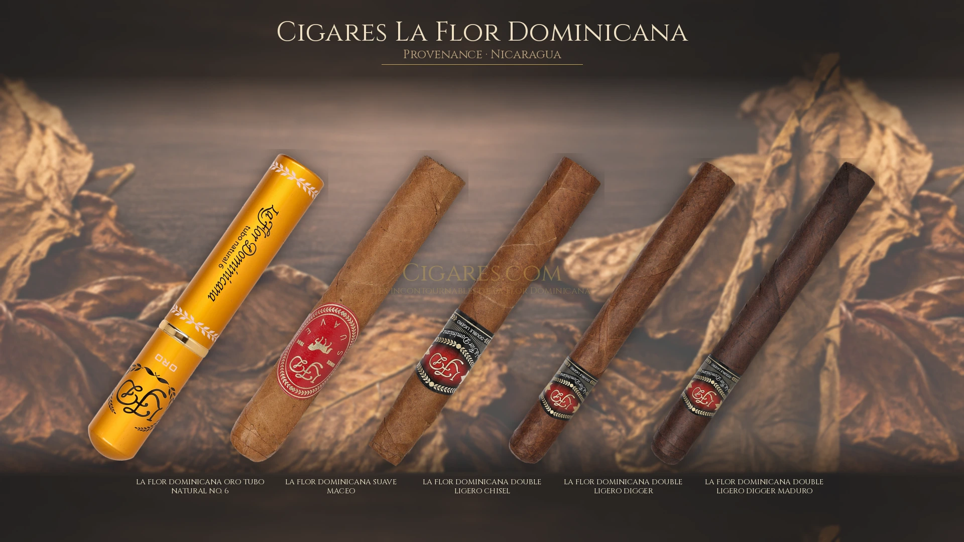 Top 5 cigares La Flor Dominicana — les plus populaires