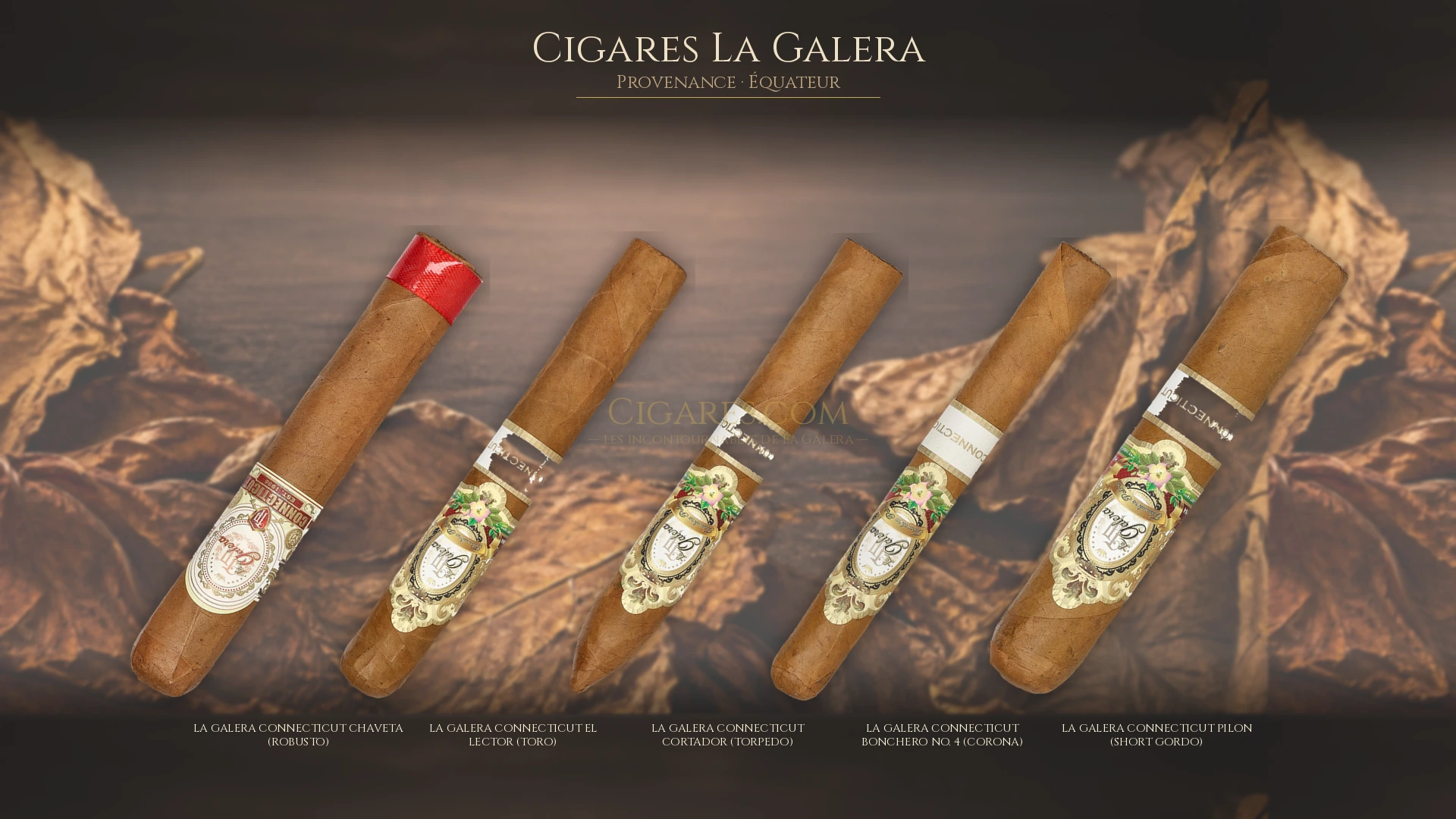 Top 5 cigares La Galera — les plus populaires