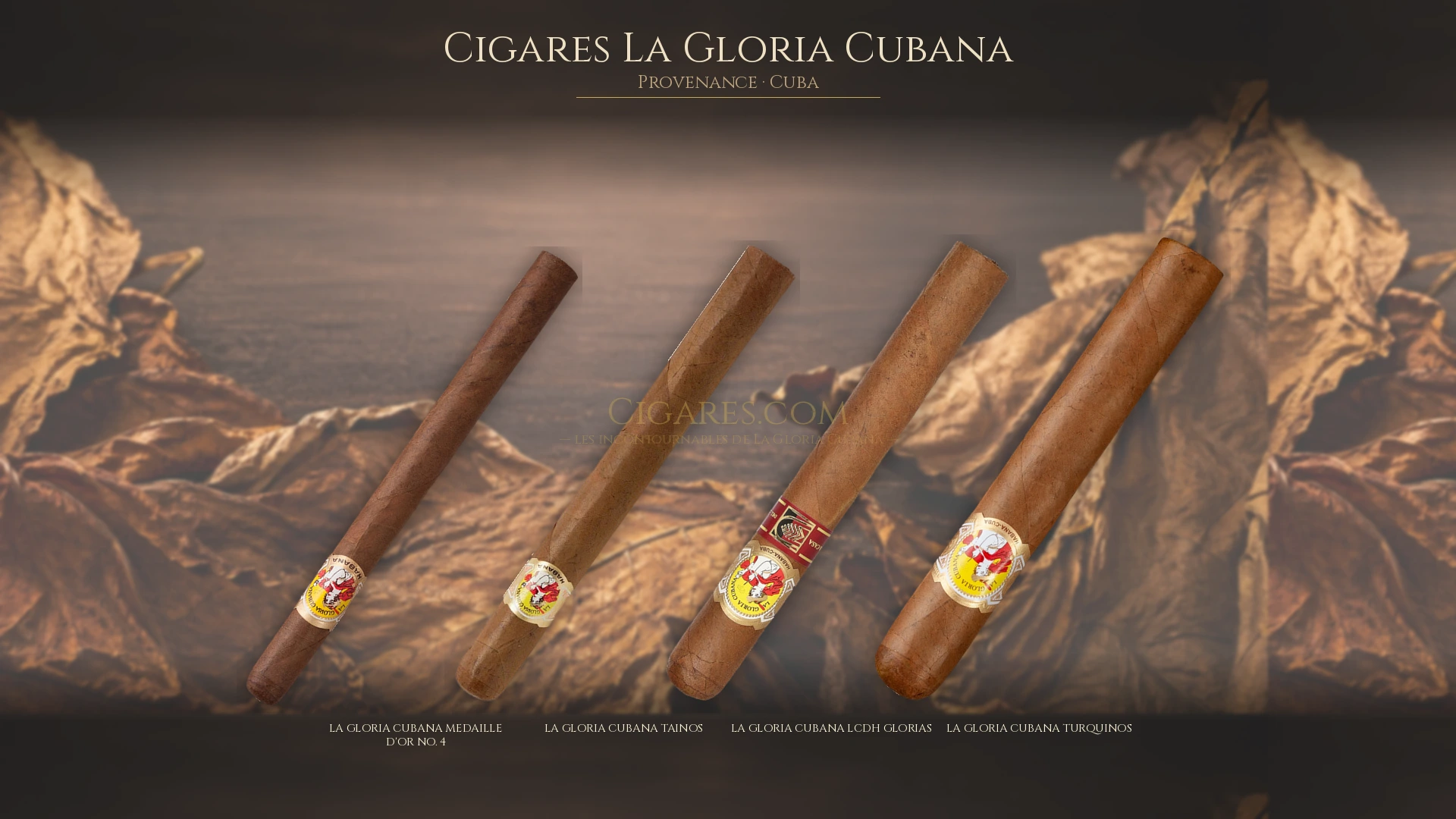 Top 5 cigares La Gloria Cubana — les plus populaires