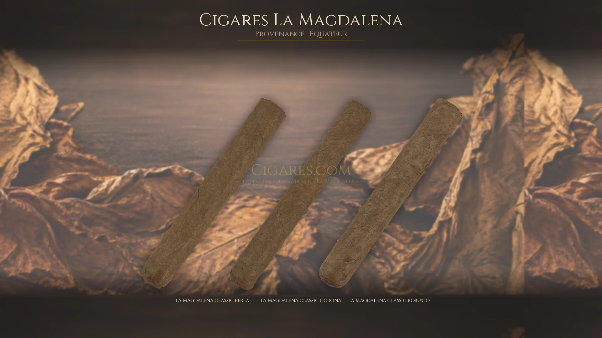 Top 5 cigares La Magdalena — les plus populaires