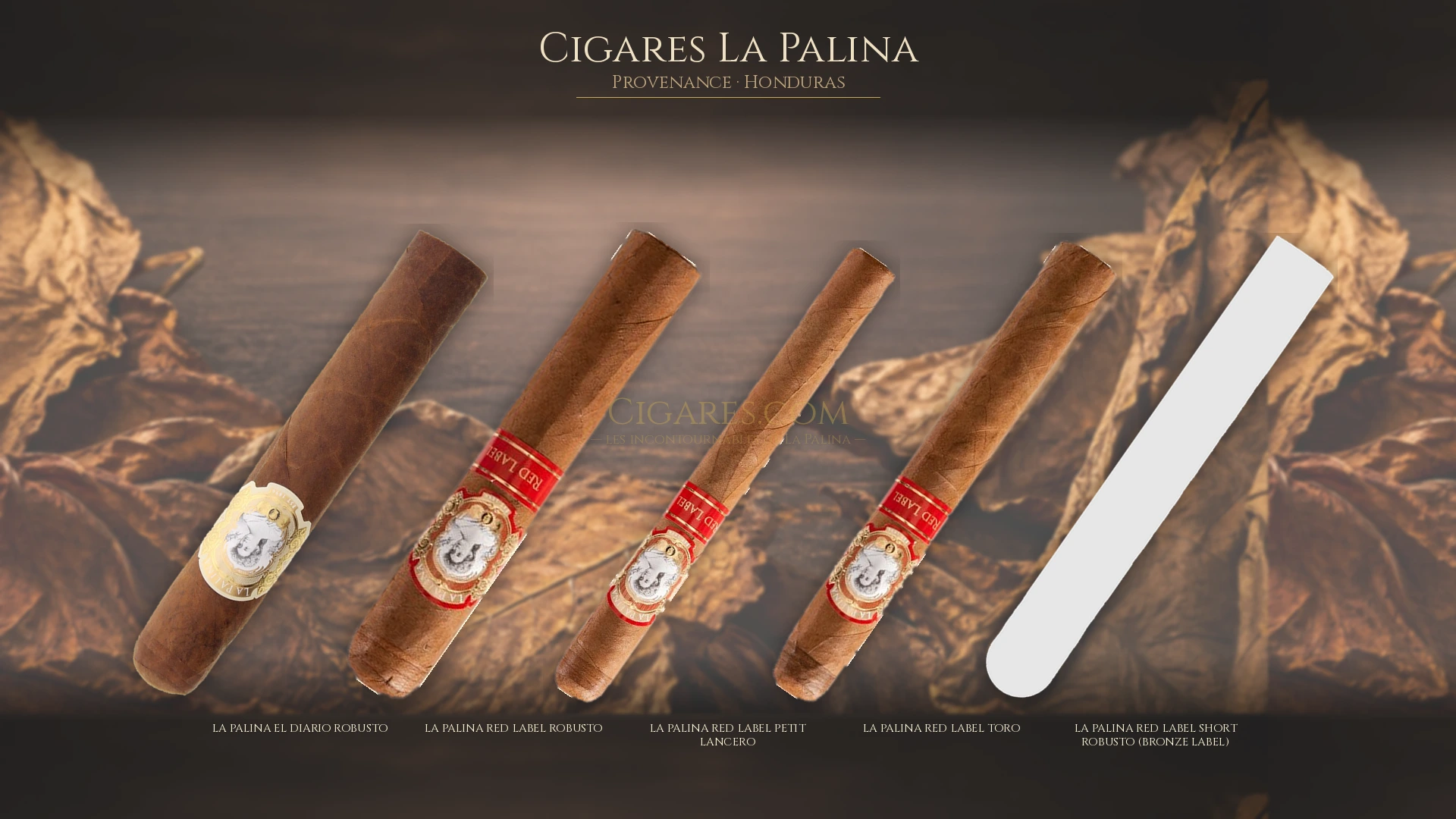 Top 5 cigares La Palina — les plus populaires