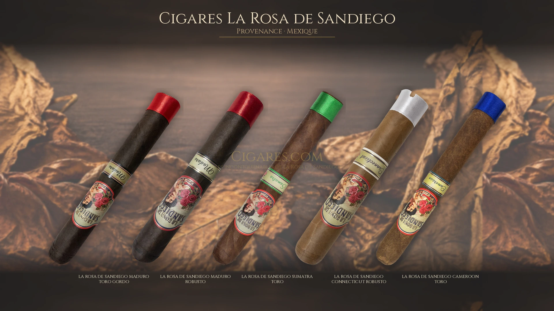 Top 5 cigares La Rosa de Sandiego — les plus populaires