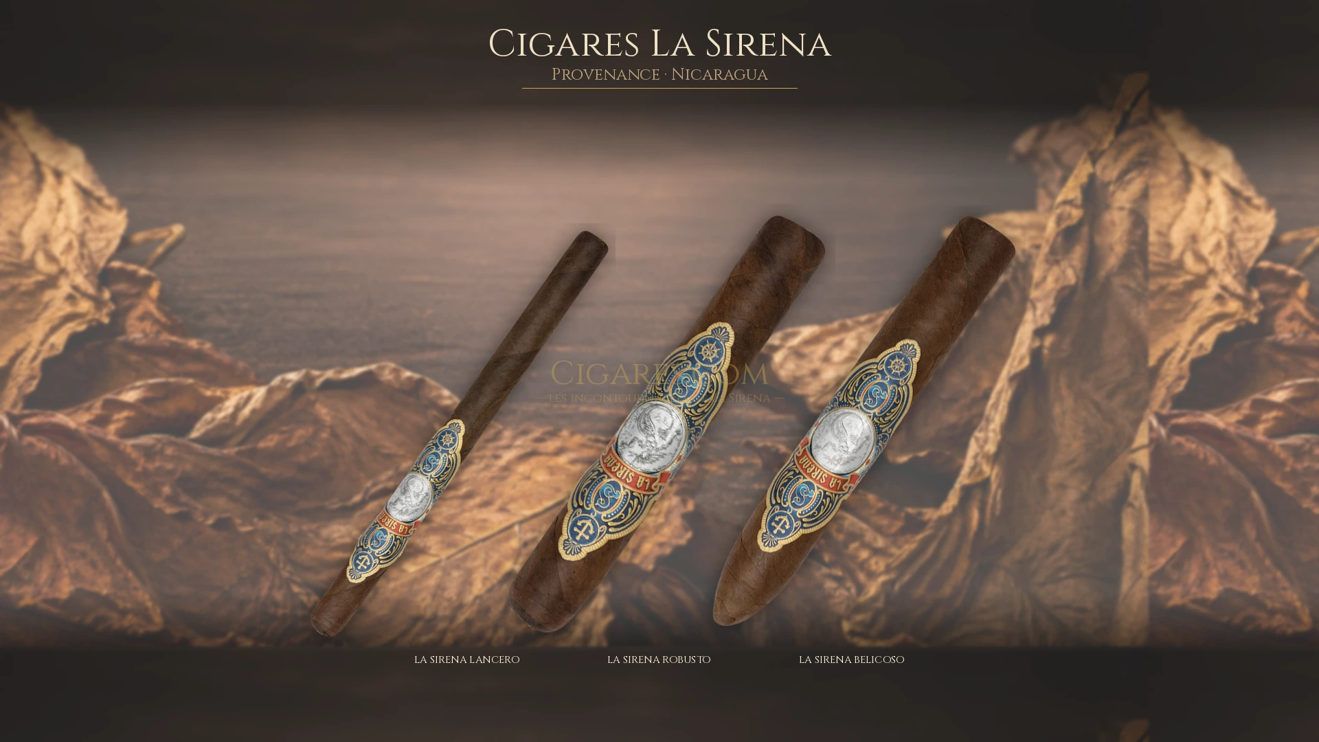 Top 5 cigares La Sirena — les plus populaires
