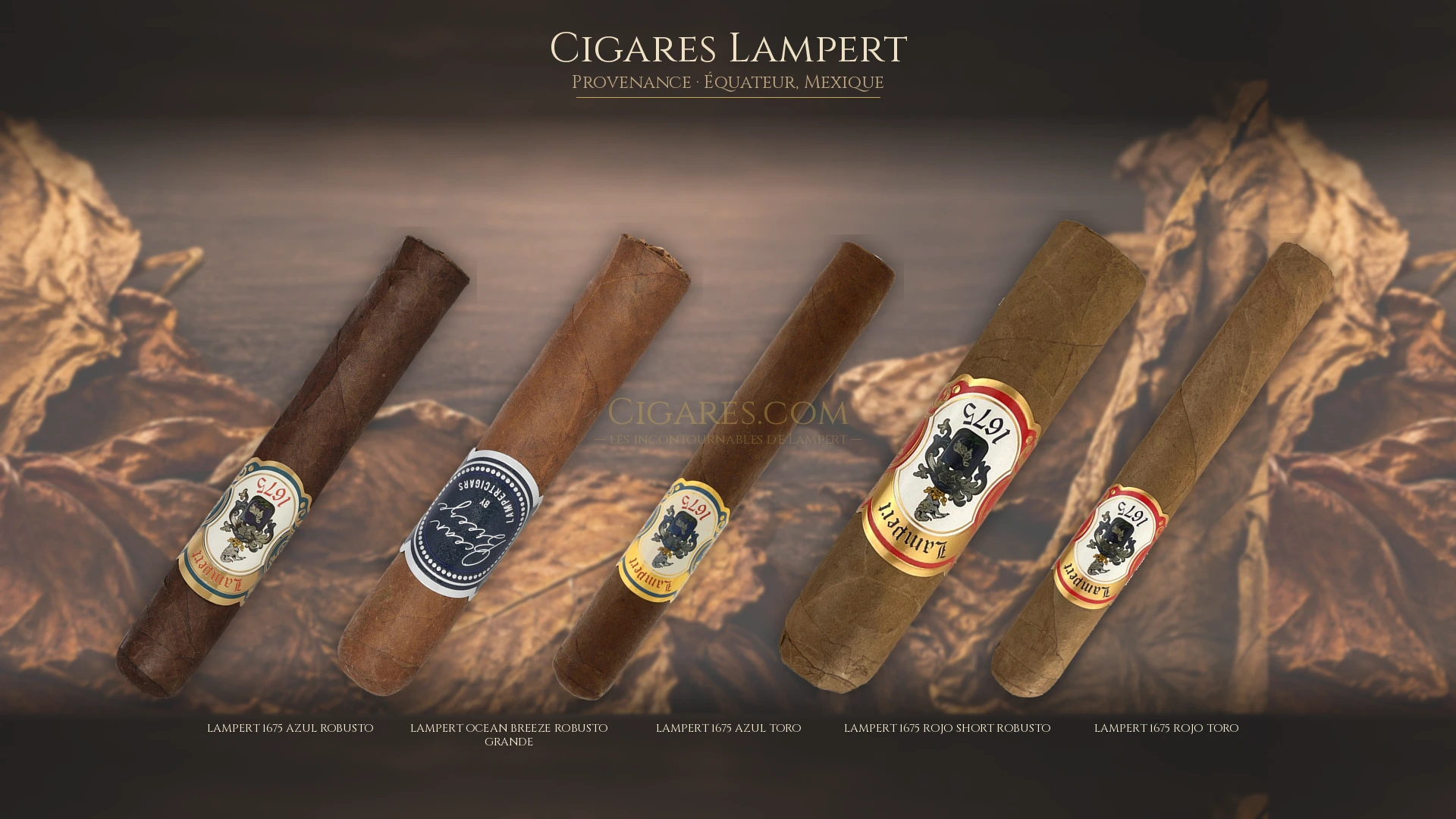 Top 5 cigares Lampert — les plus populaires