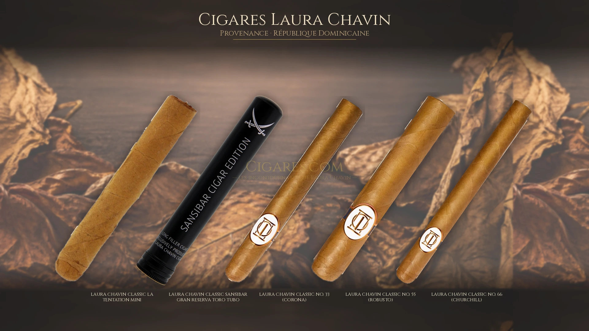 Top 5 cigares Laura Chavin — les plus populaires