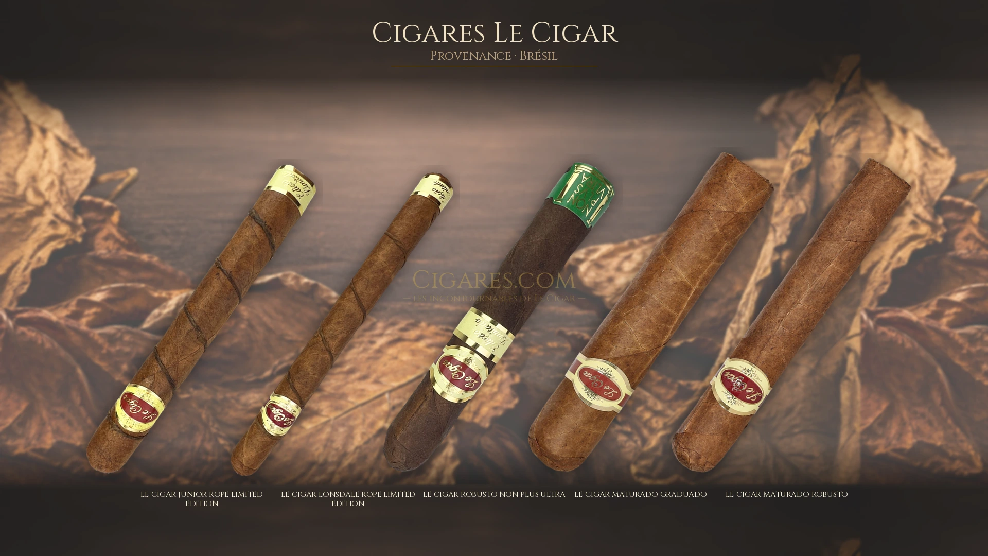 Top 5 cigares Le Cigar — les plus populaires