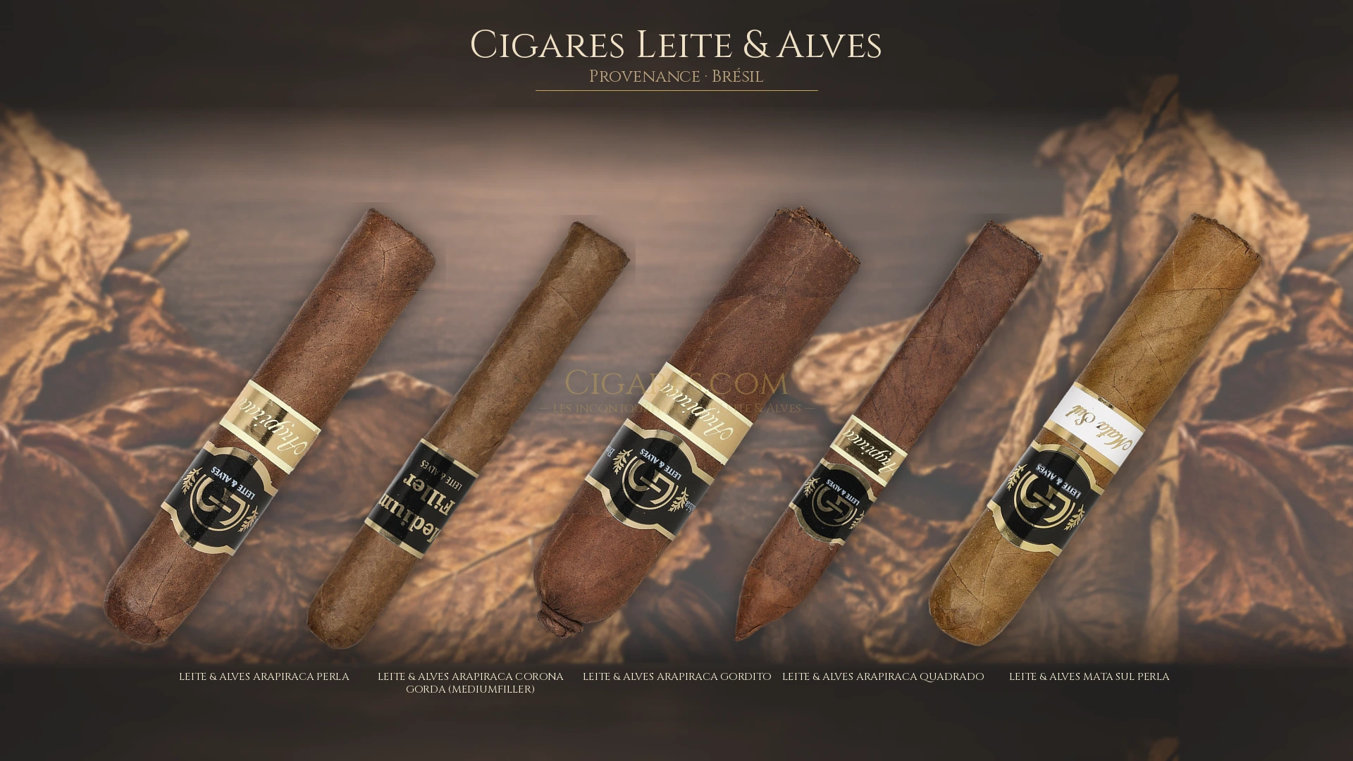 Top 5 cigares Leite & Alves — les plus populaires