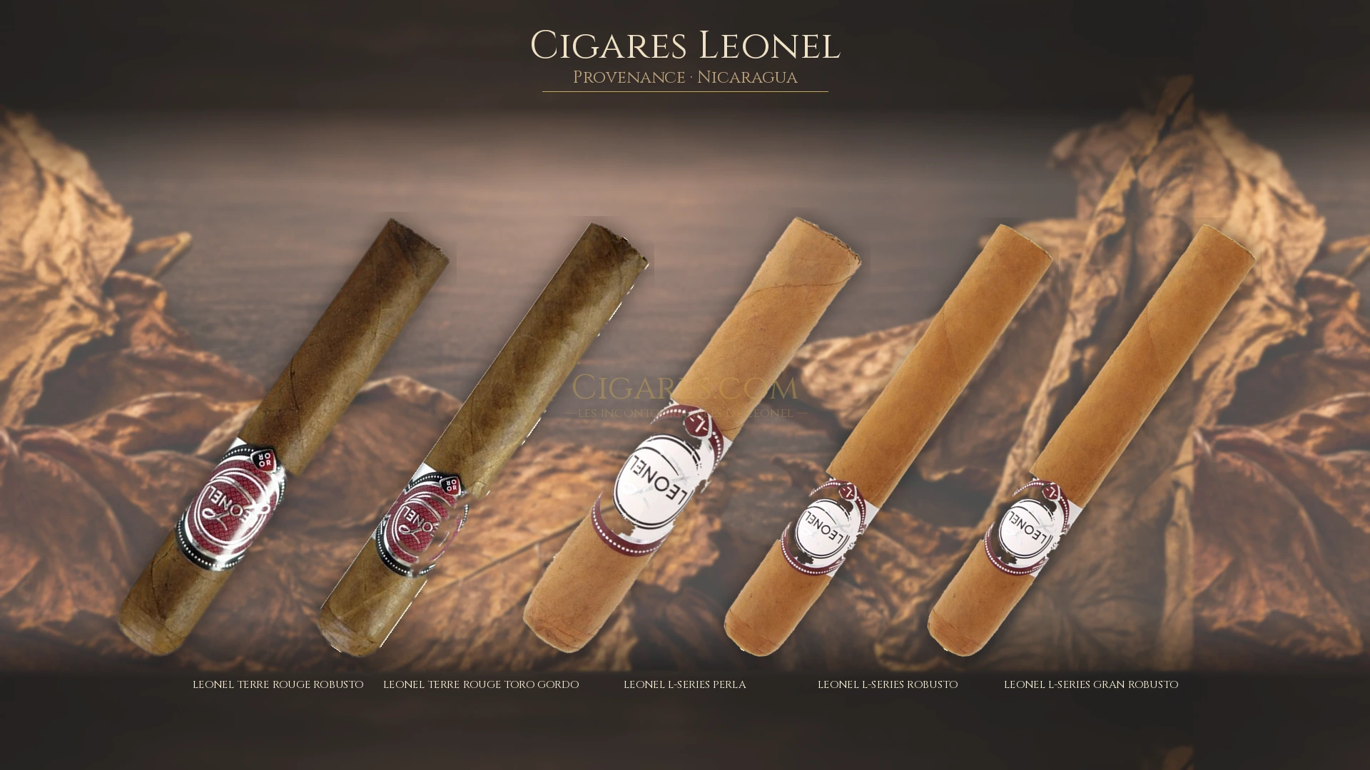 Top 5 cigares Leonel — les plus populaires