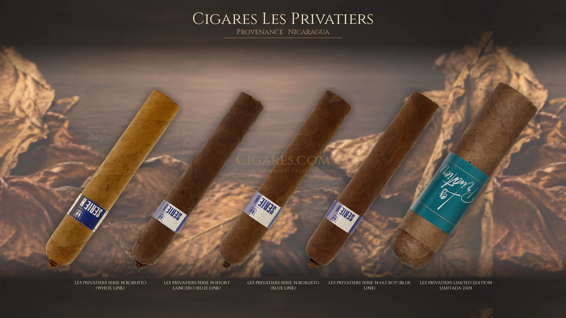 Top 5 cigares Les Privatiers — les plus populaires