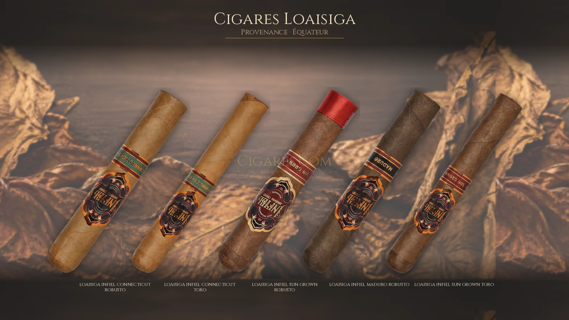 Top 5 cigares Loaisiga — les plus populaires
