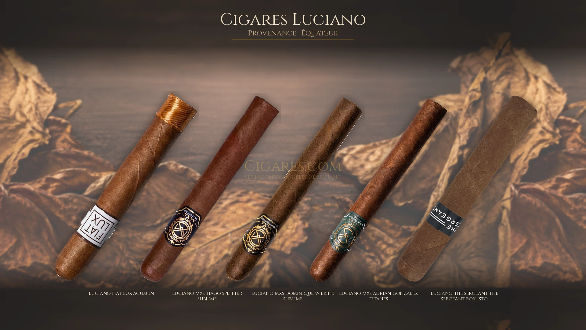 Top 5 cigares Luciano — les plus populaires