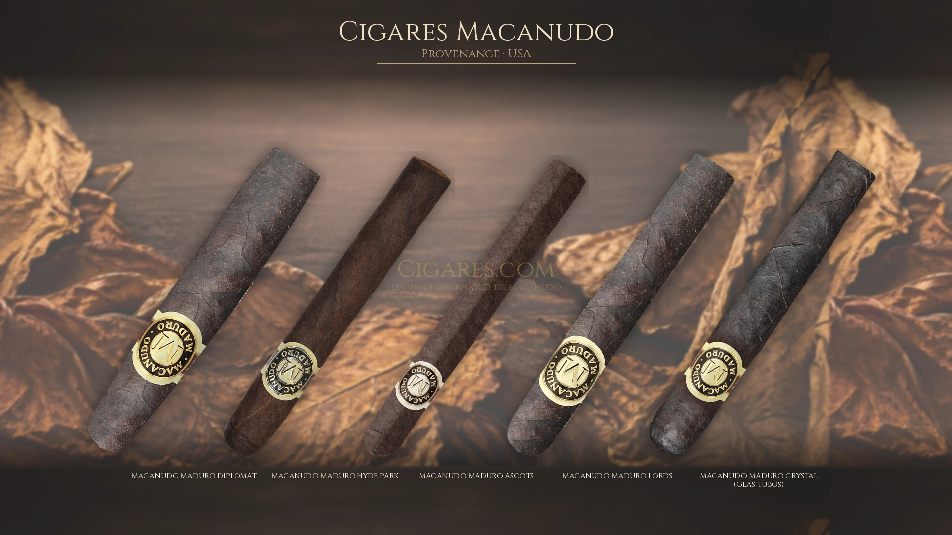 Top 5 cigares Macanudo — les plus populaires