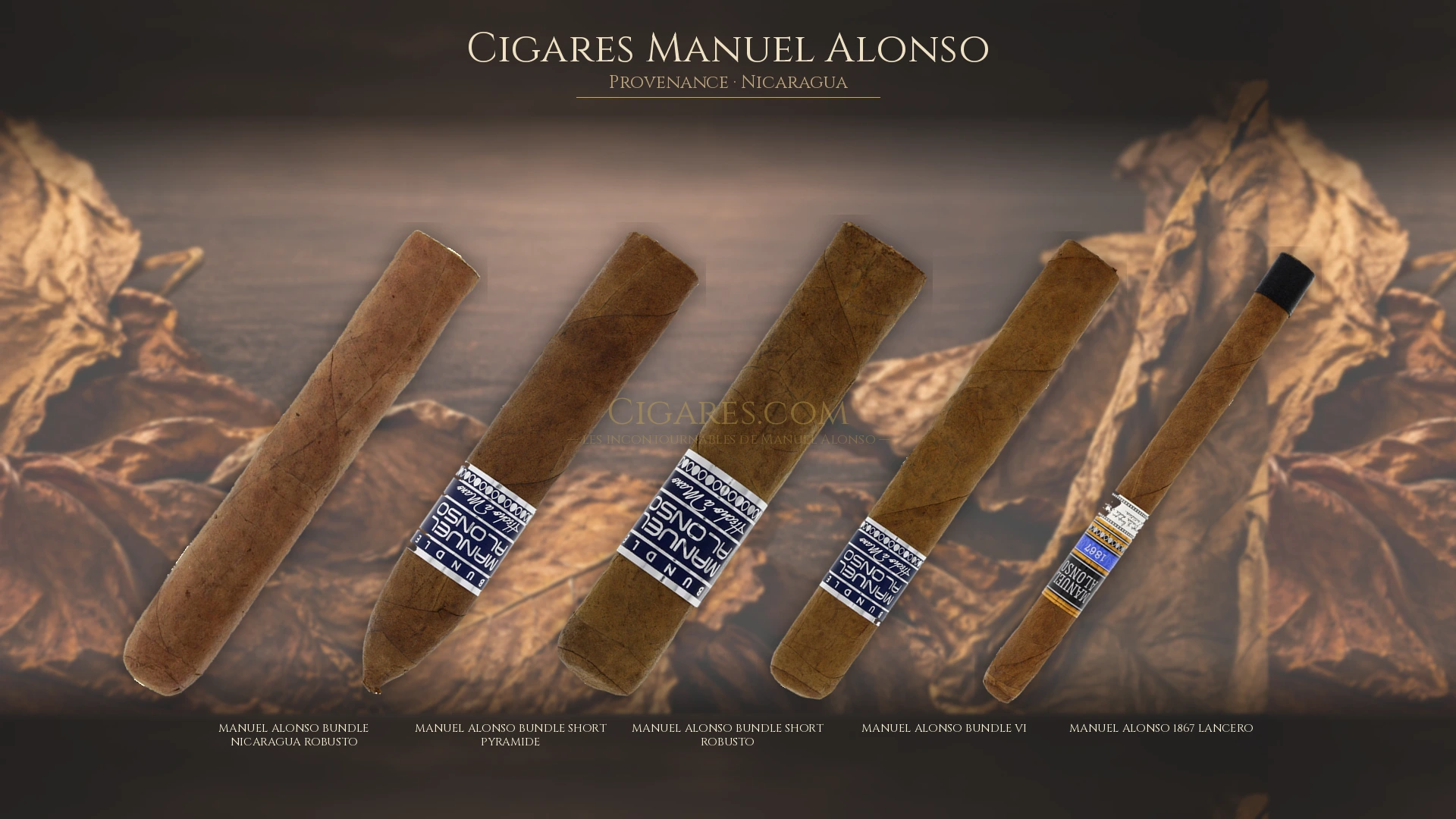 Top 5 cigares Manuel Alonso — les plus populaires
