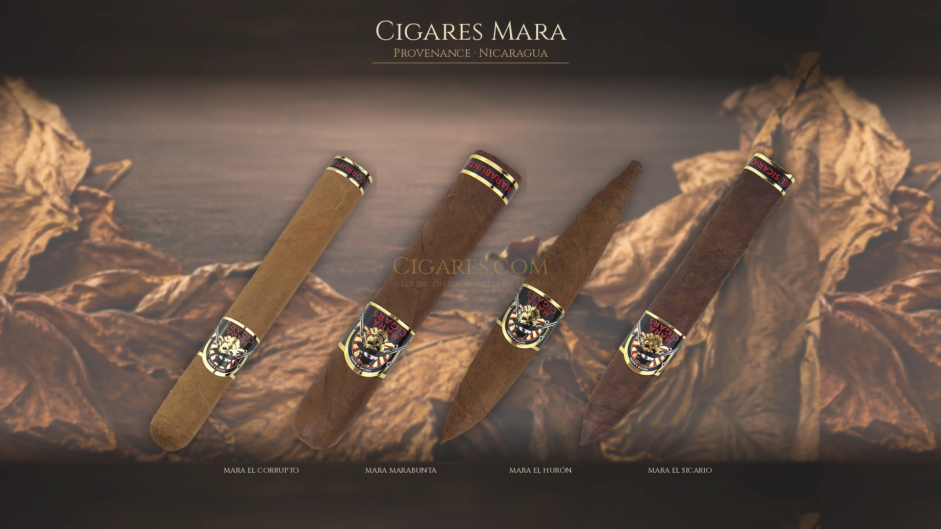 Top 5 cigares Mara — les plus populaires