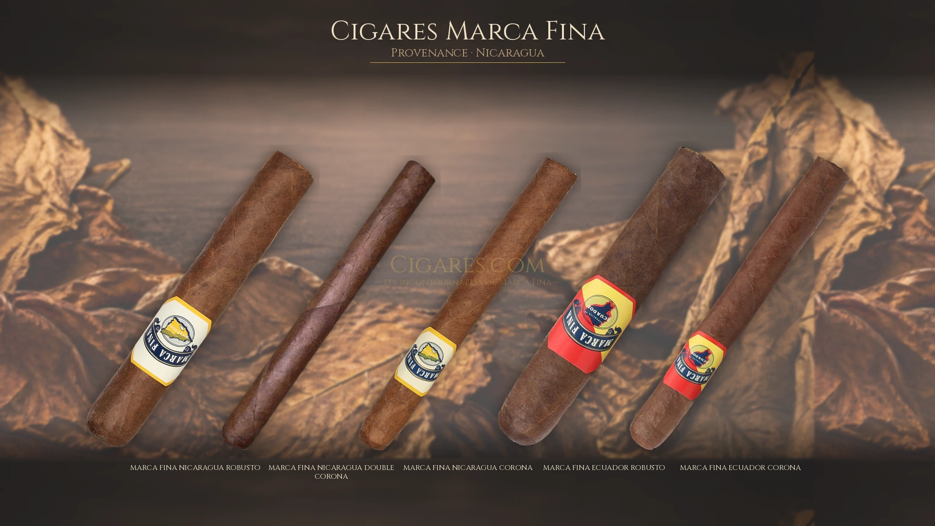 Top 5 cigares Marca Fina — les plus populaires
