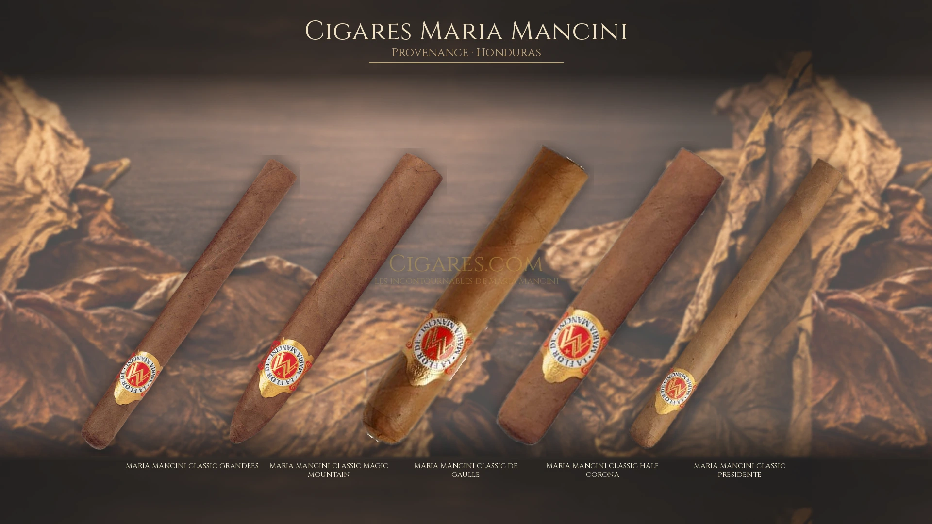 Top 5 cigares Maria Mancini — les plus populaires