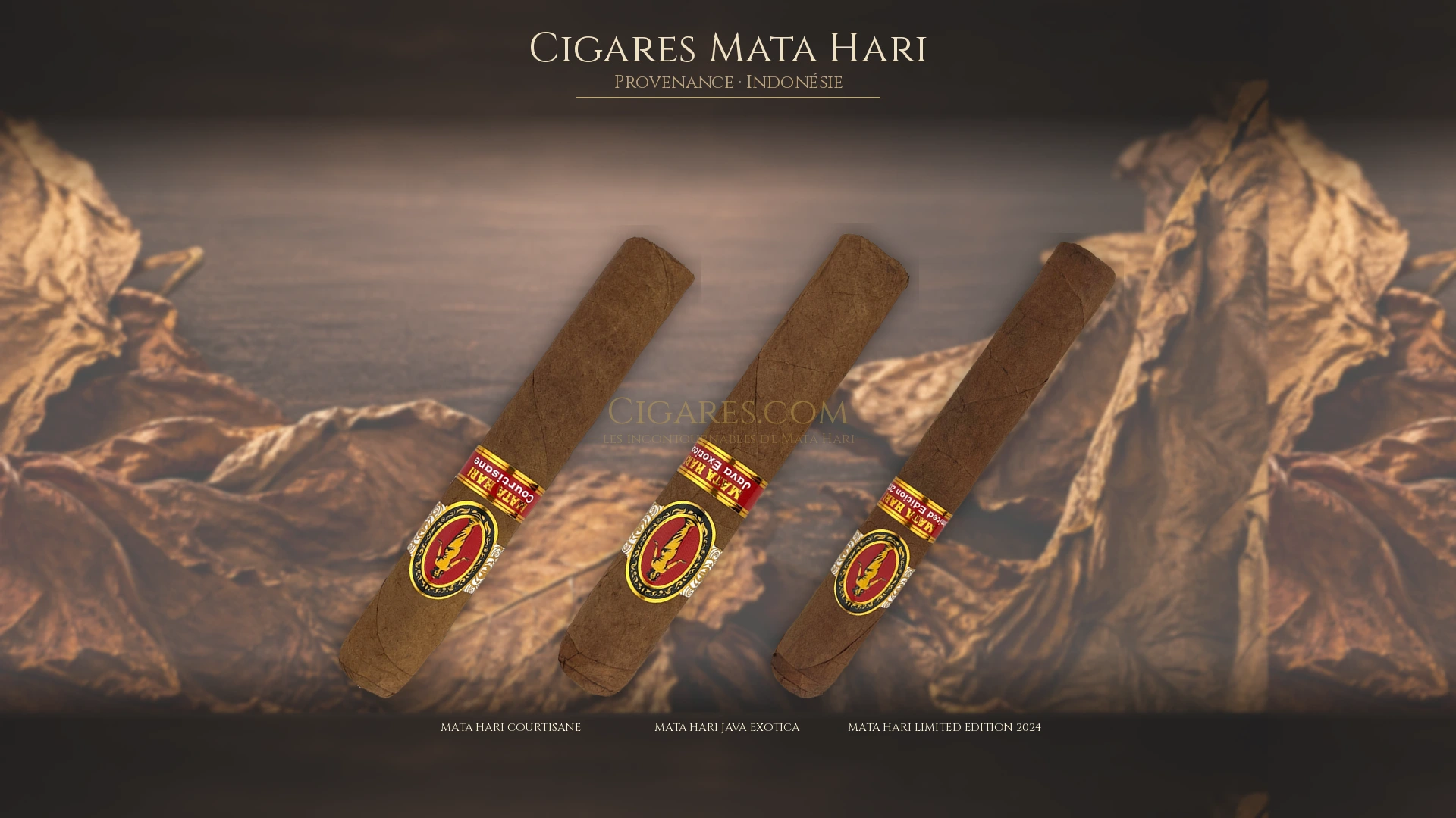 Top 5 cigares Mata Hari — les plus populaires