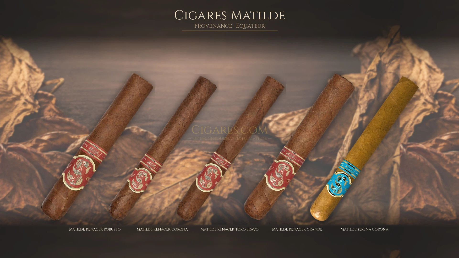 Top 5 cigares Matilde — les plus populaires