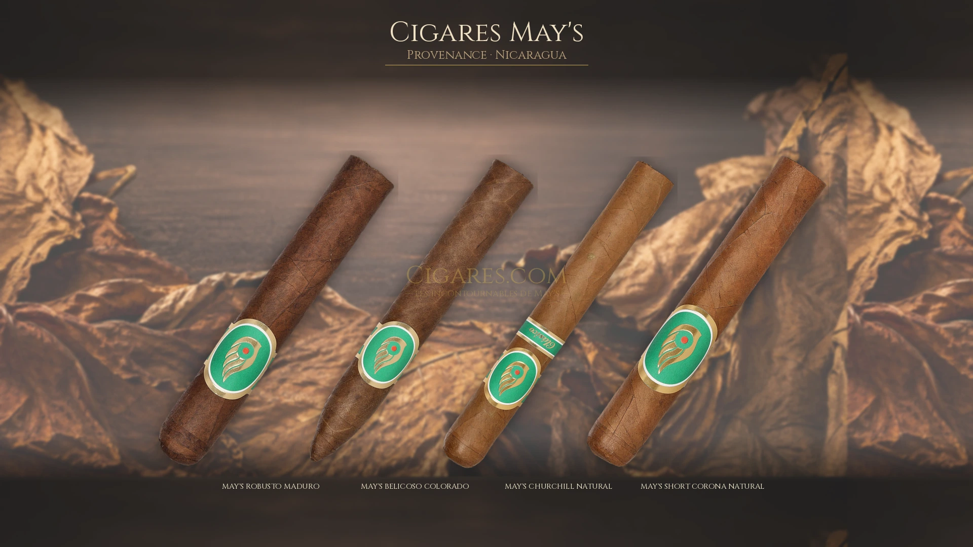 Top 5 cigares May's — les plus populaires