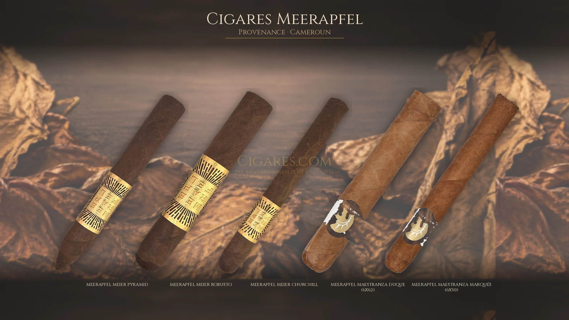 Top 5 cigares Meerapfel — les plus populaires