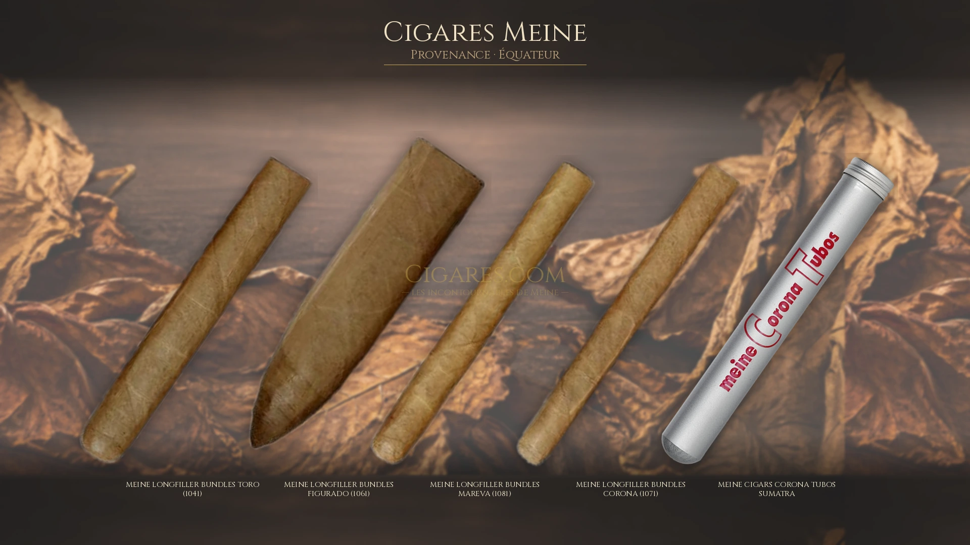 Top 5 cigares Meine — les plus populaires