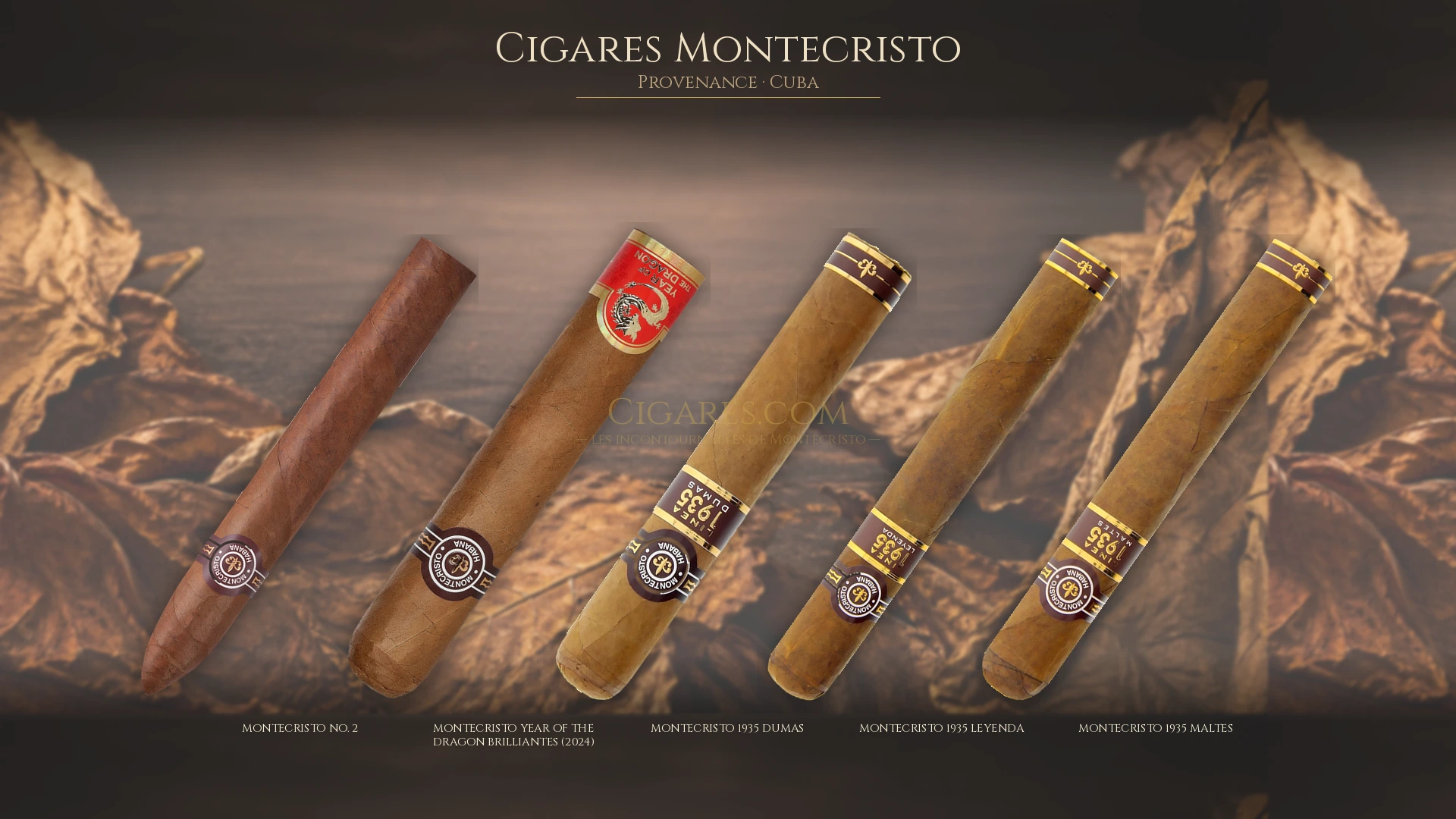 Top 5 cigares Montecristo — les plus populaires