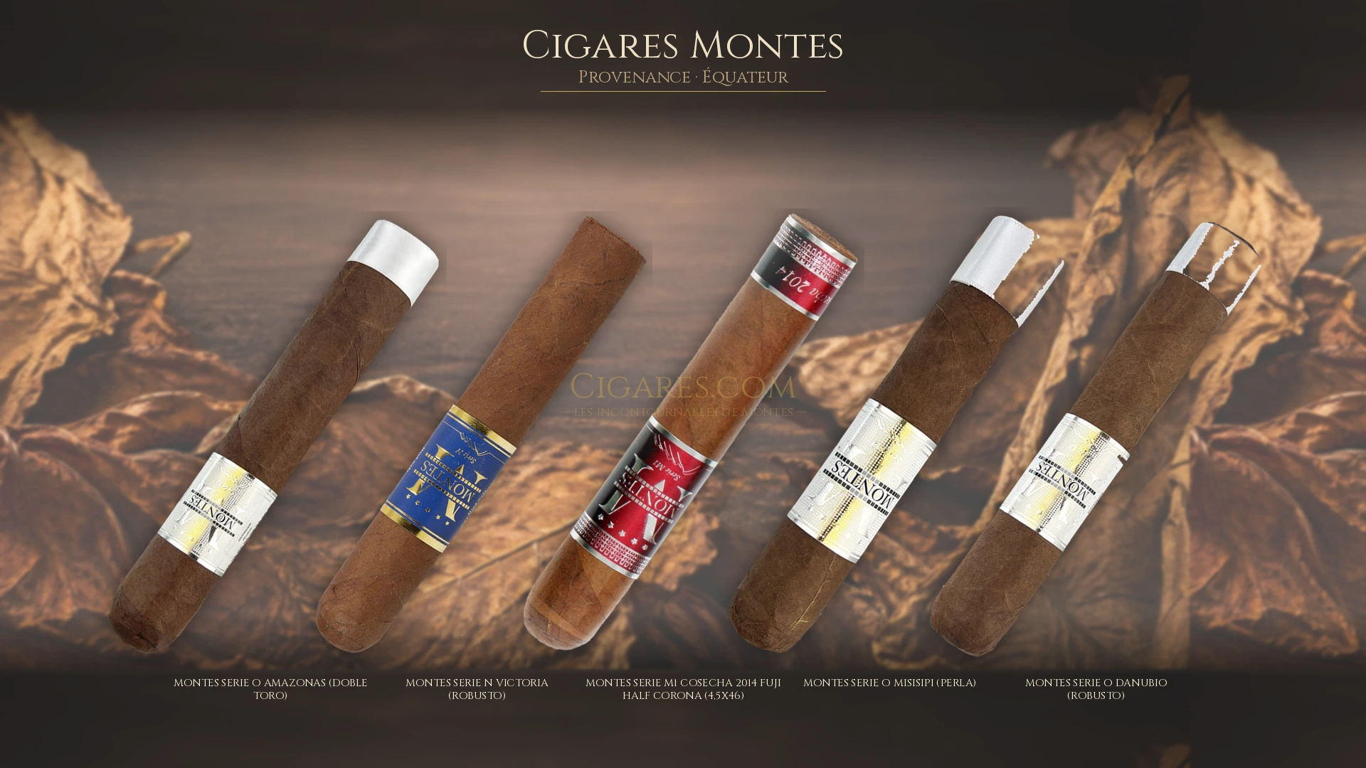 Top 5 cigares Montes — les plus populaires