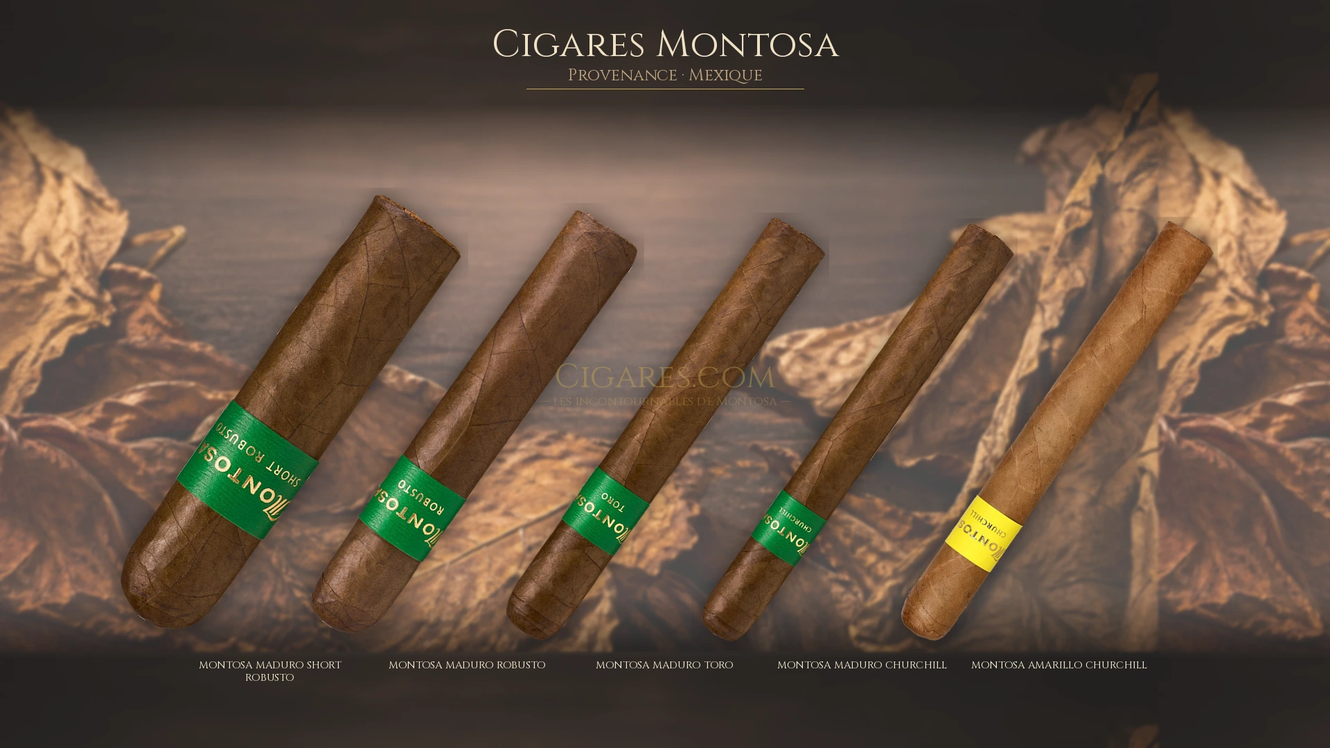Top 5 cigares Montosa — les plus populaires