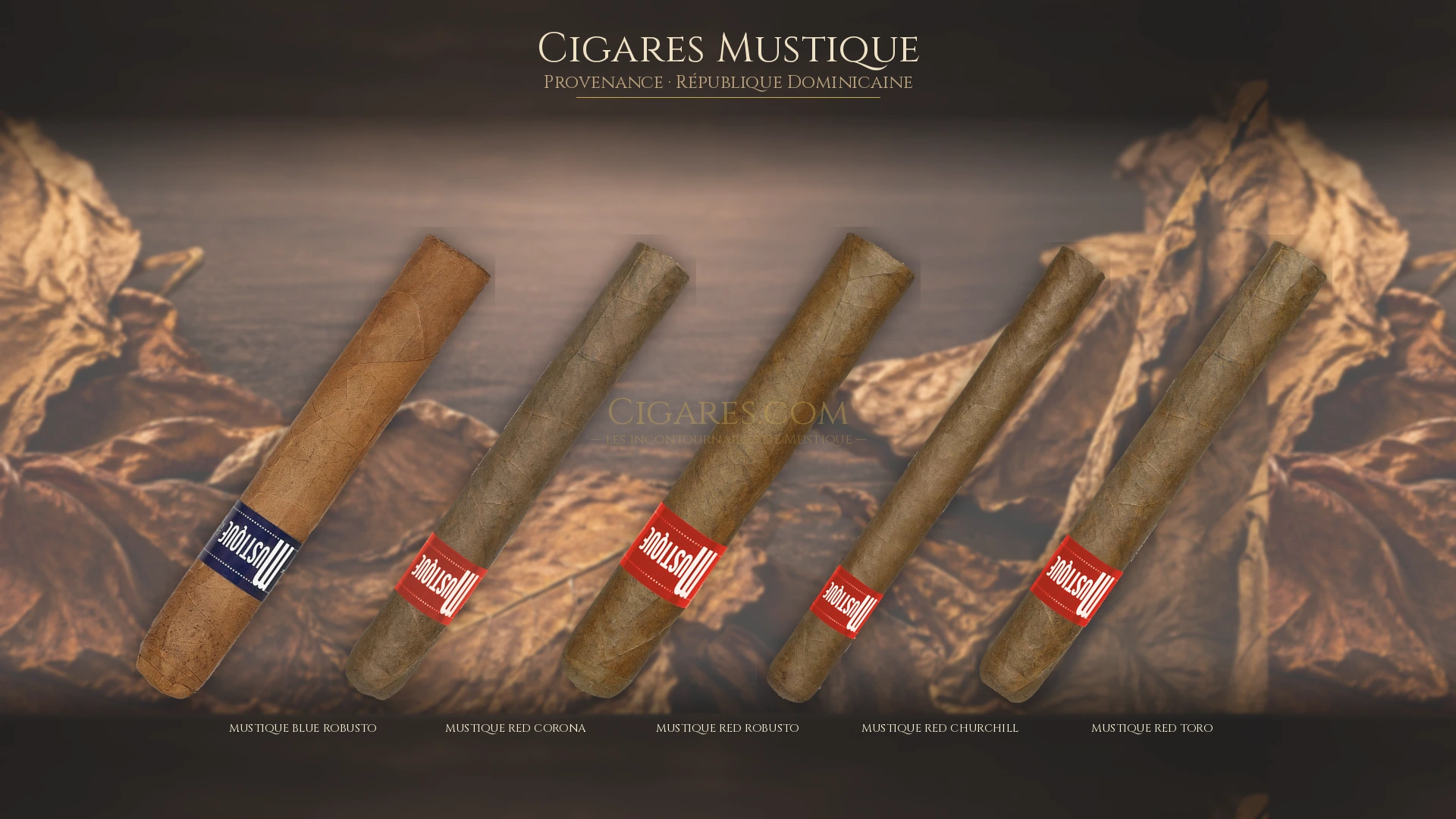 Top 5 cigares Mustique — les plus populaires