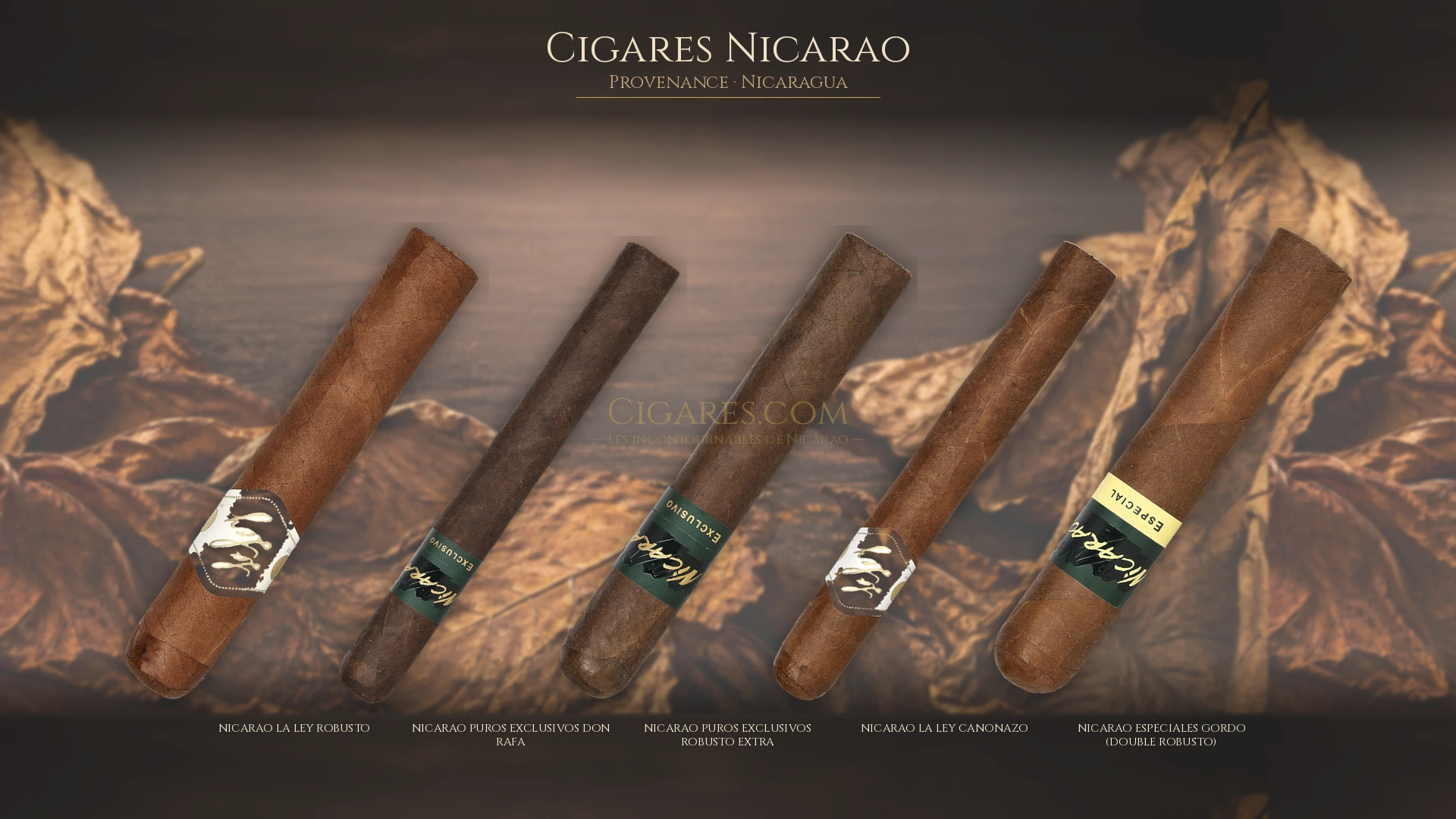 Top 5 cigares Nicarao — les plus populaires
