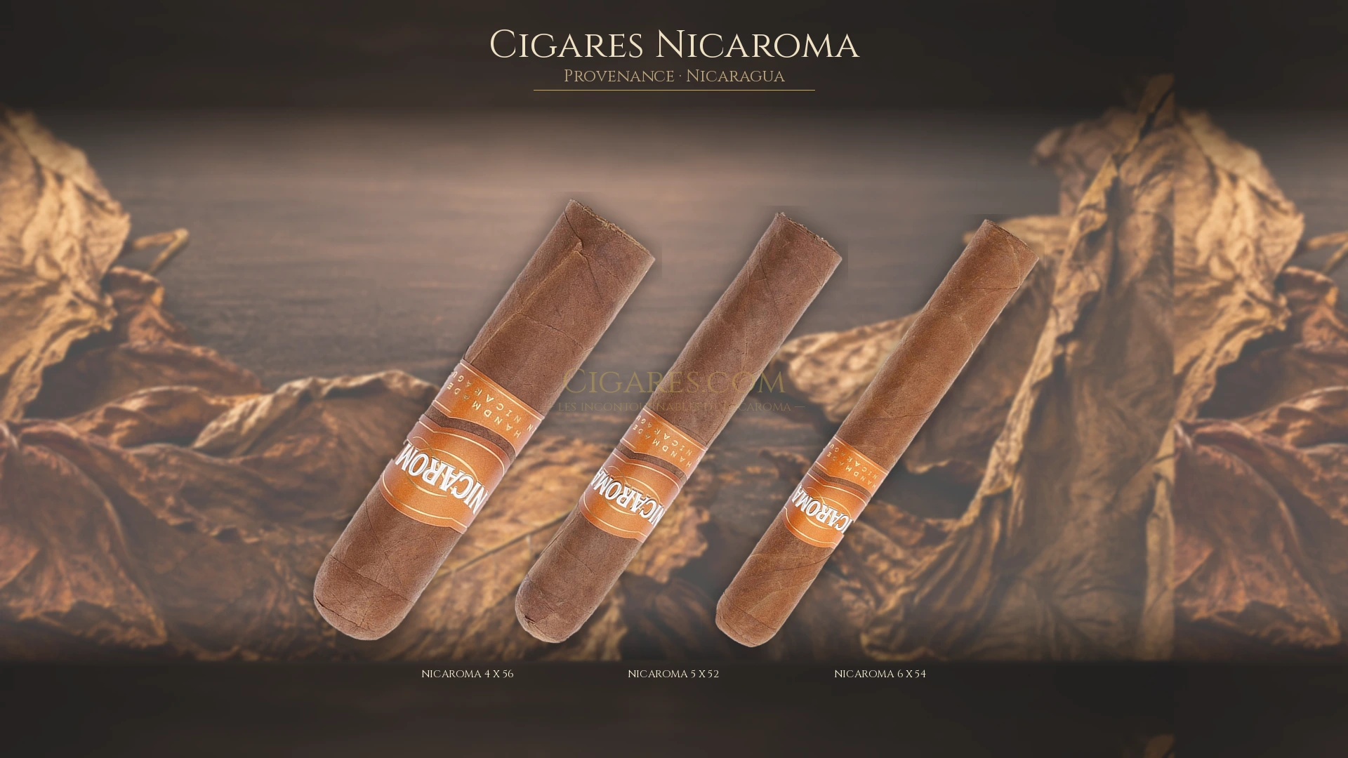 Top 5 cigares Nicaroma — les plus populaires