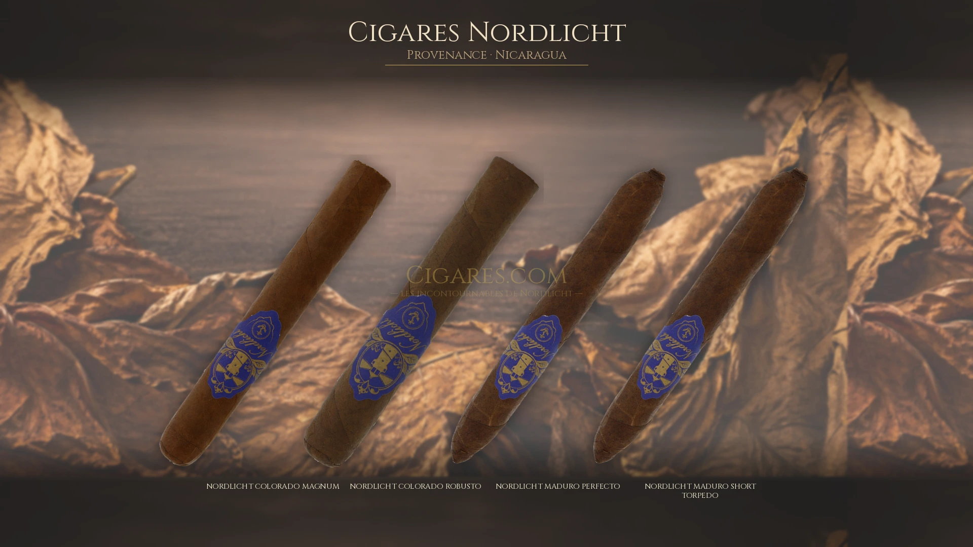 Top 5 cigares Nordlicht — les plus populaires