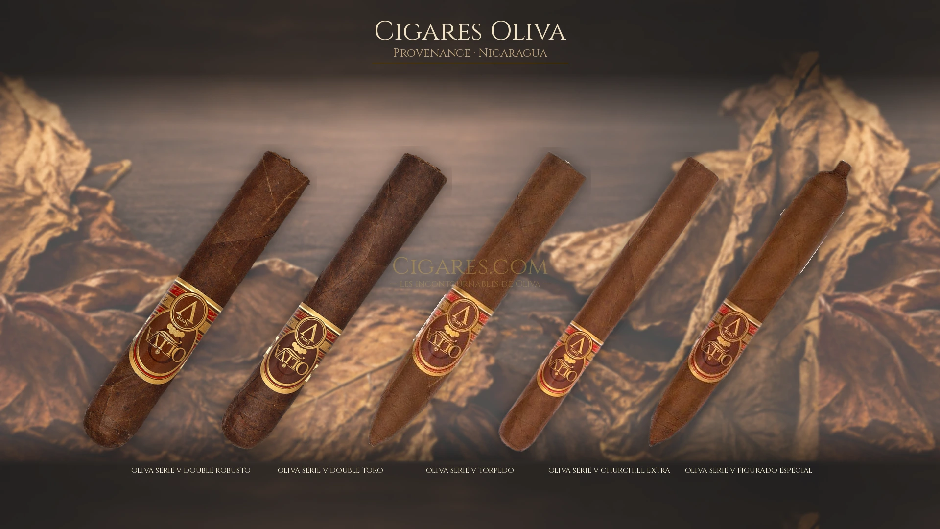 Top 5 cigares Oliva — les plus populaires
