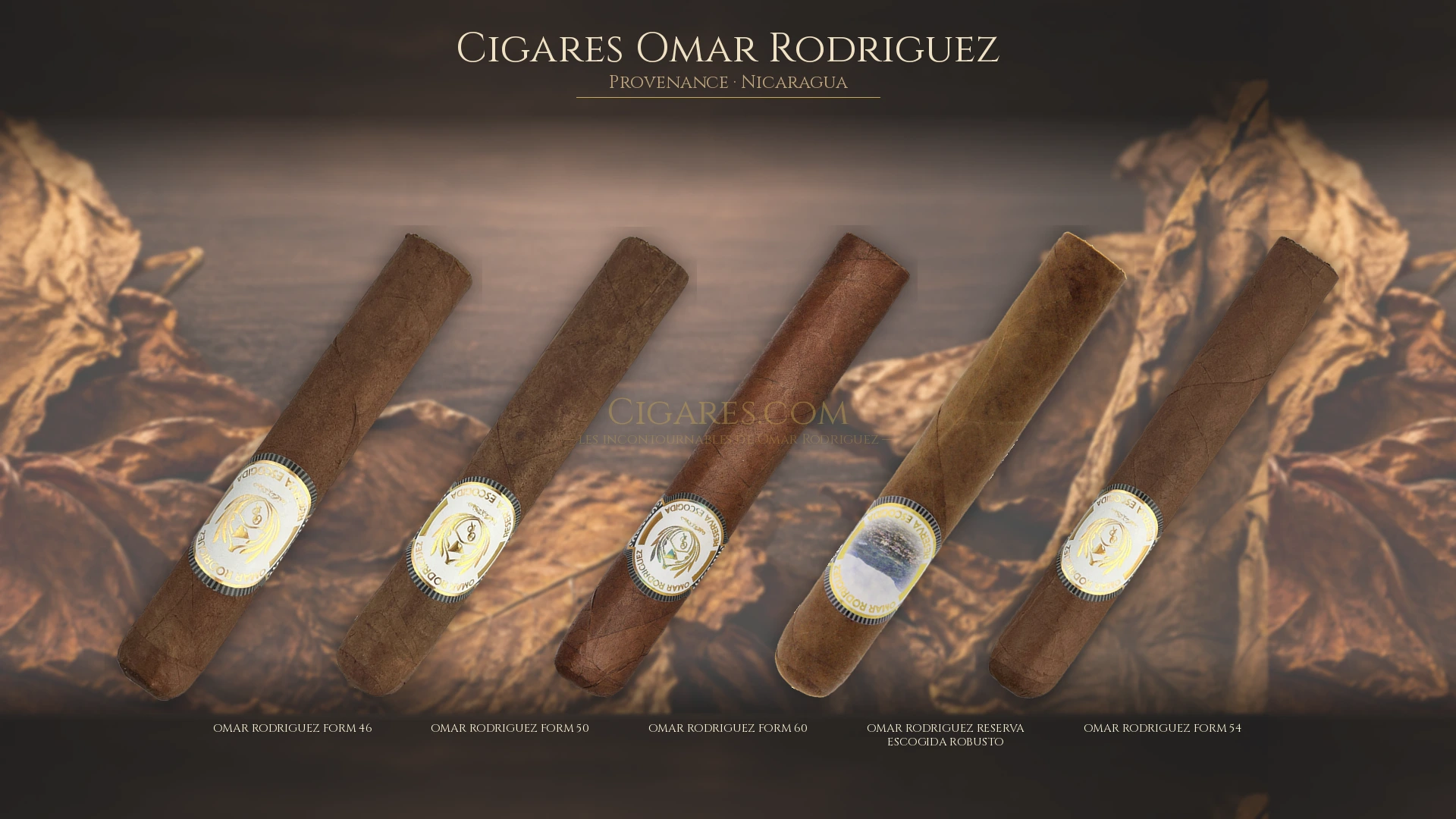 Top 5 cigares Omar Rodriguez — les plus populaires