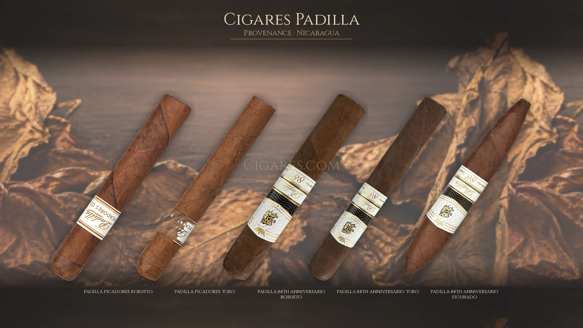 Top 5 cigares Padilla — les plus populaires
